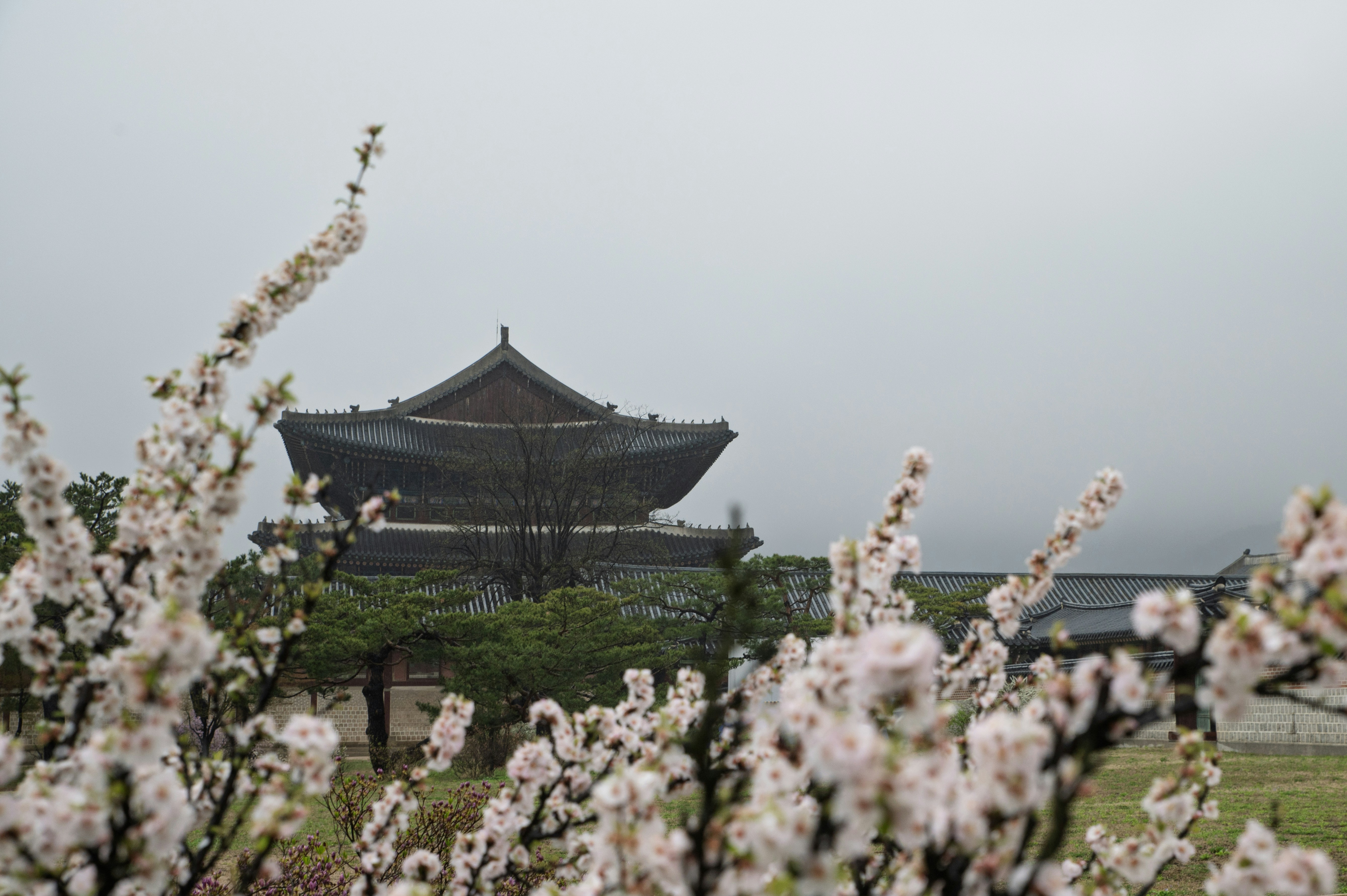 Photo by tracminhvu
