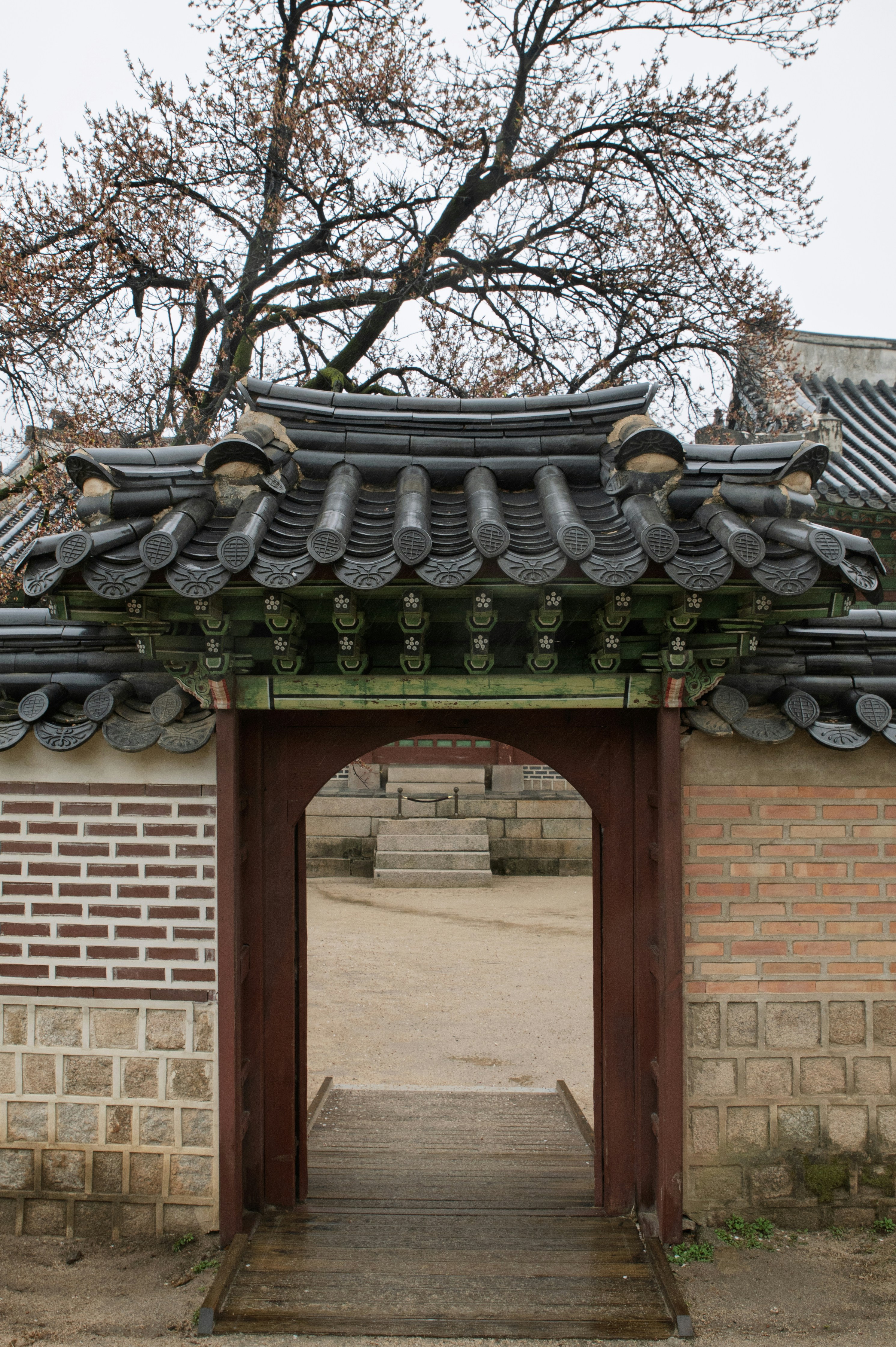 Photo by tracminhvu