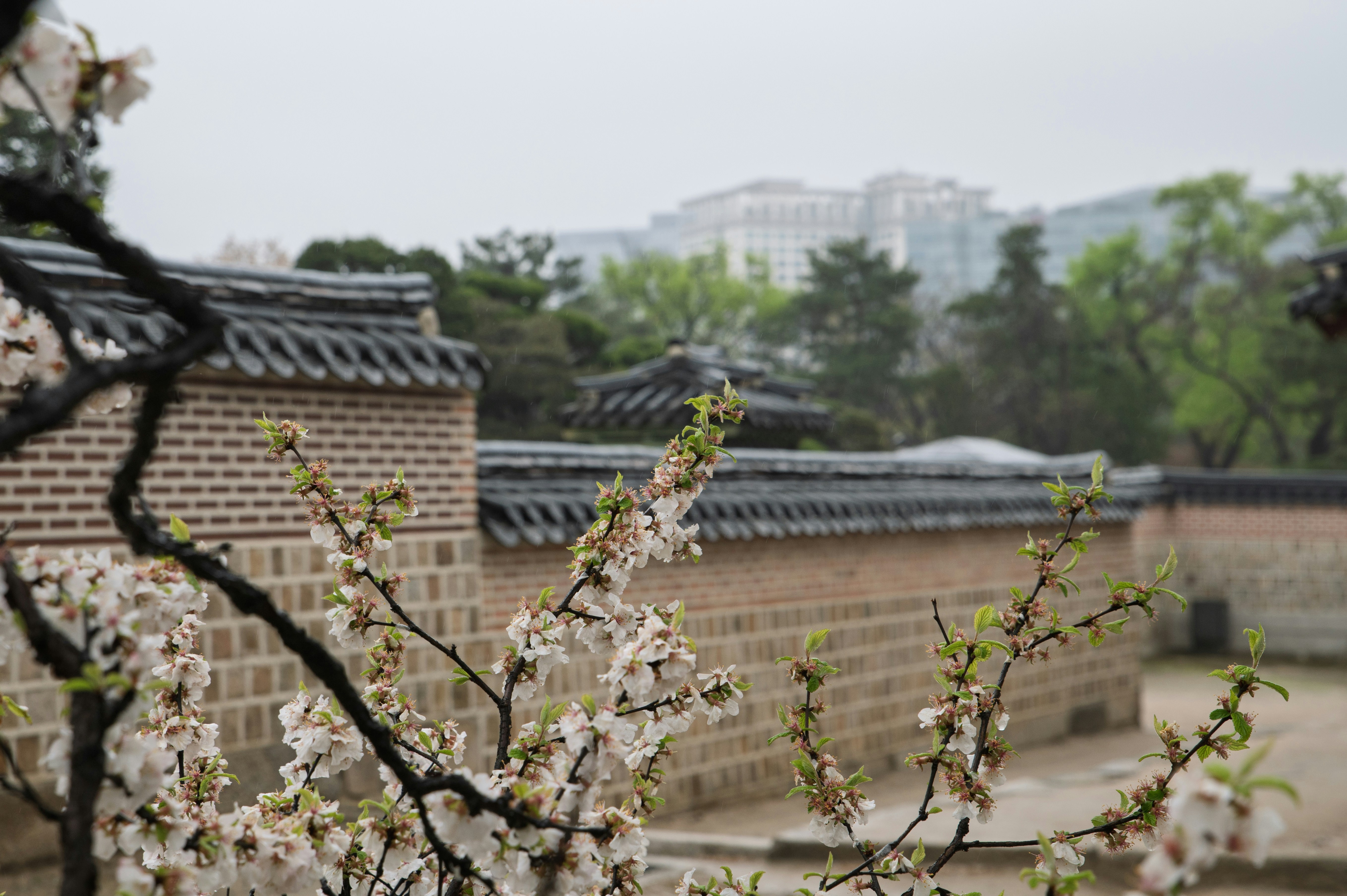 Photo by tracminhvu