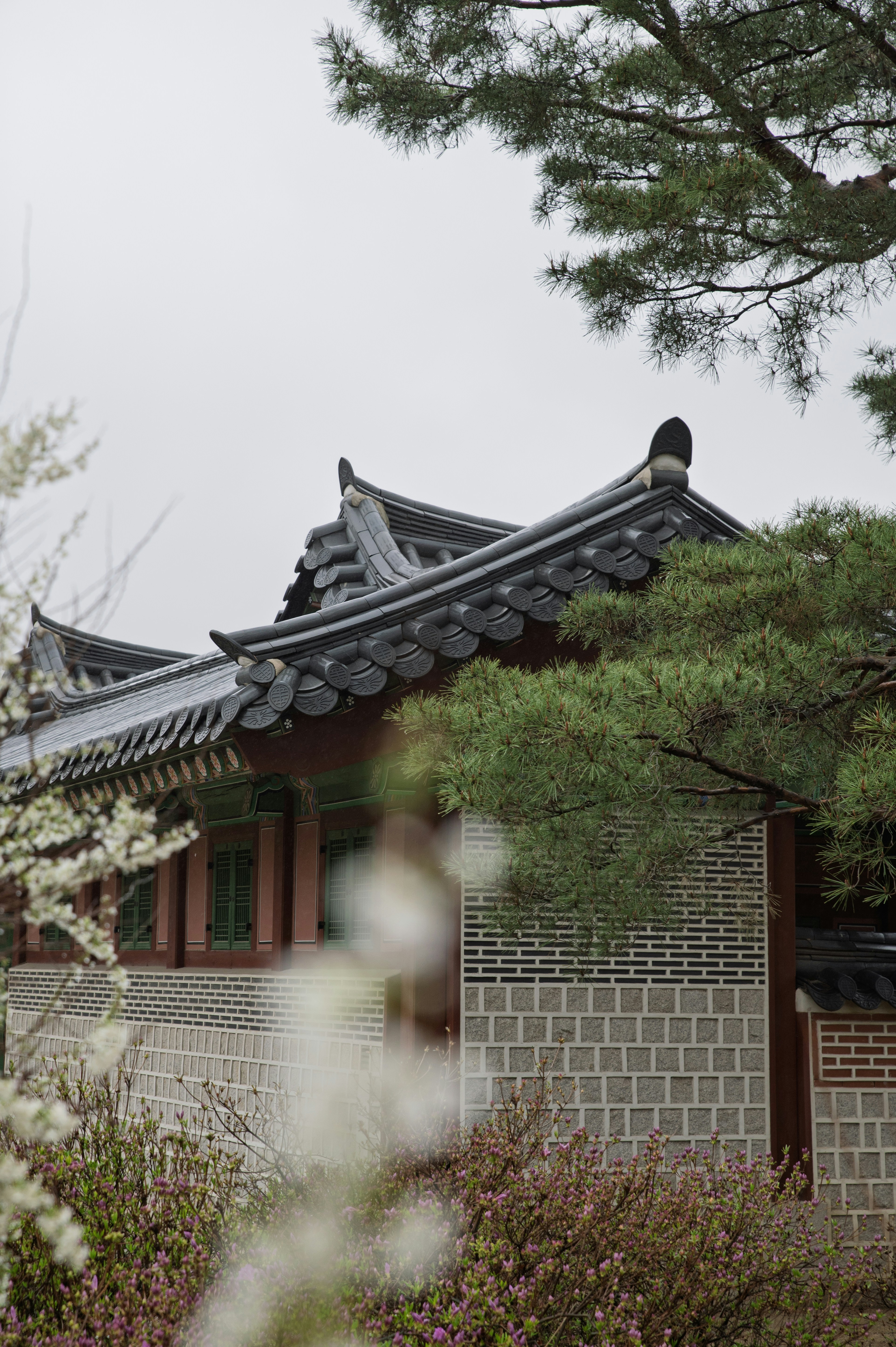 Photo by tracminhvu