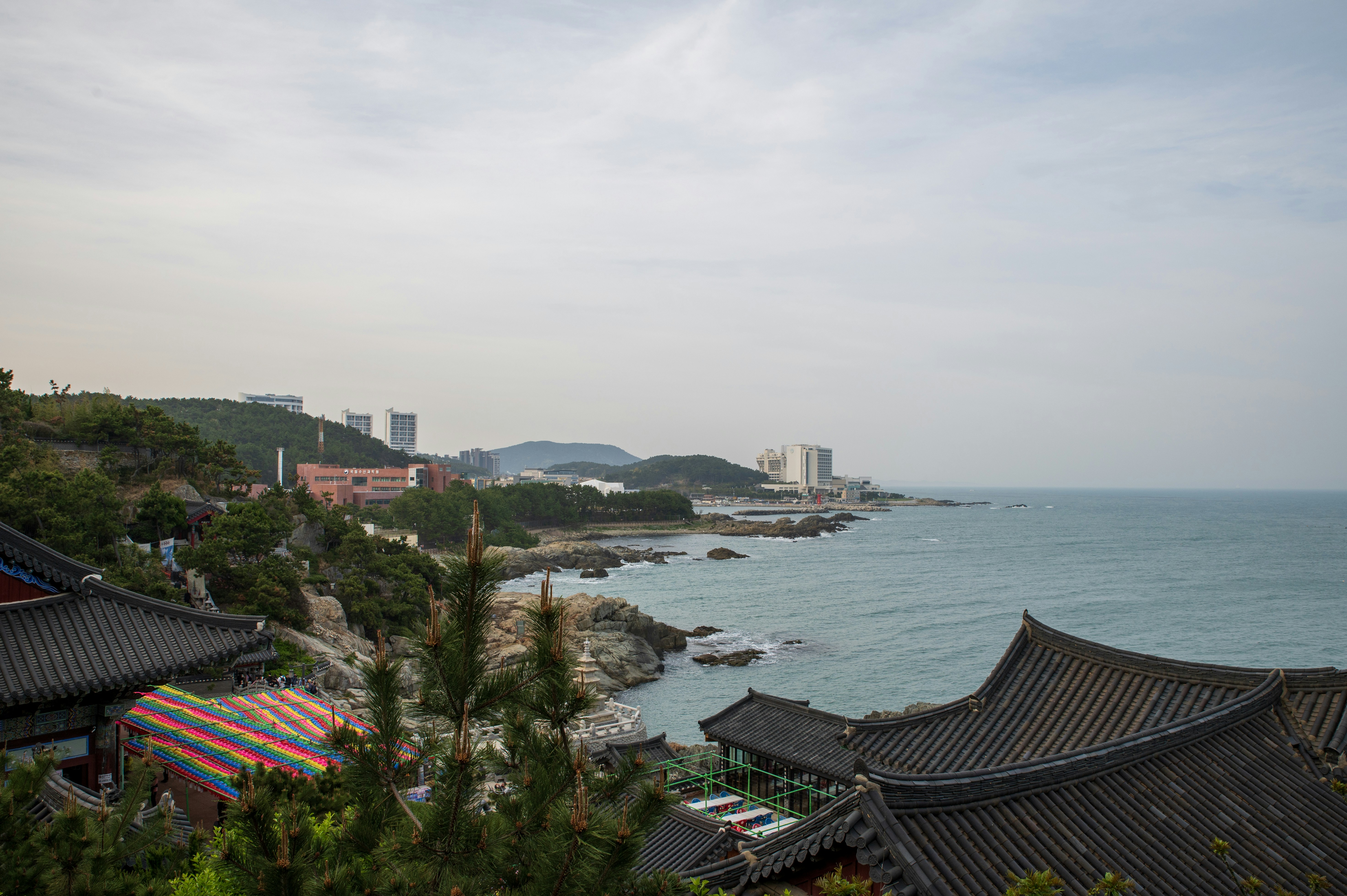 Photo by tracminhvu