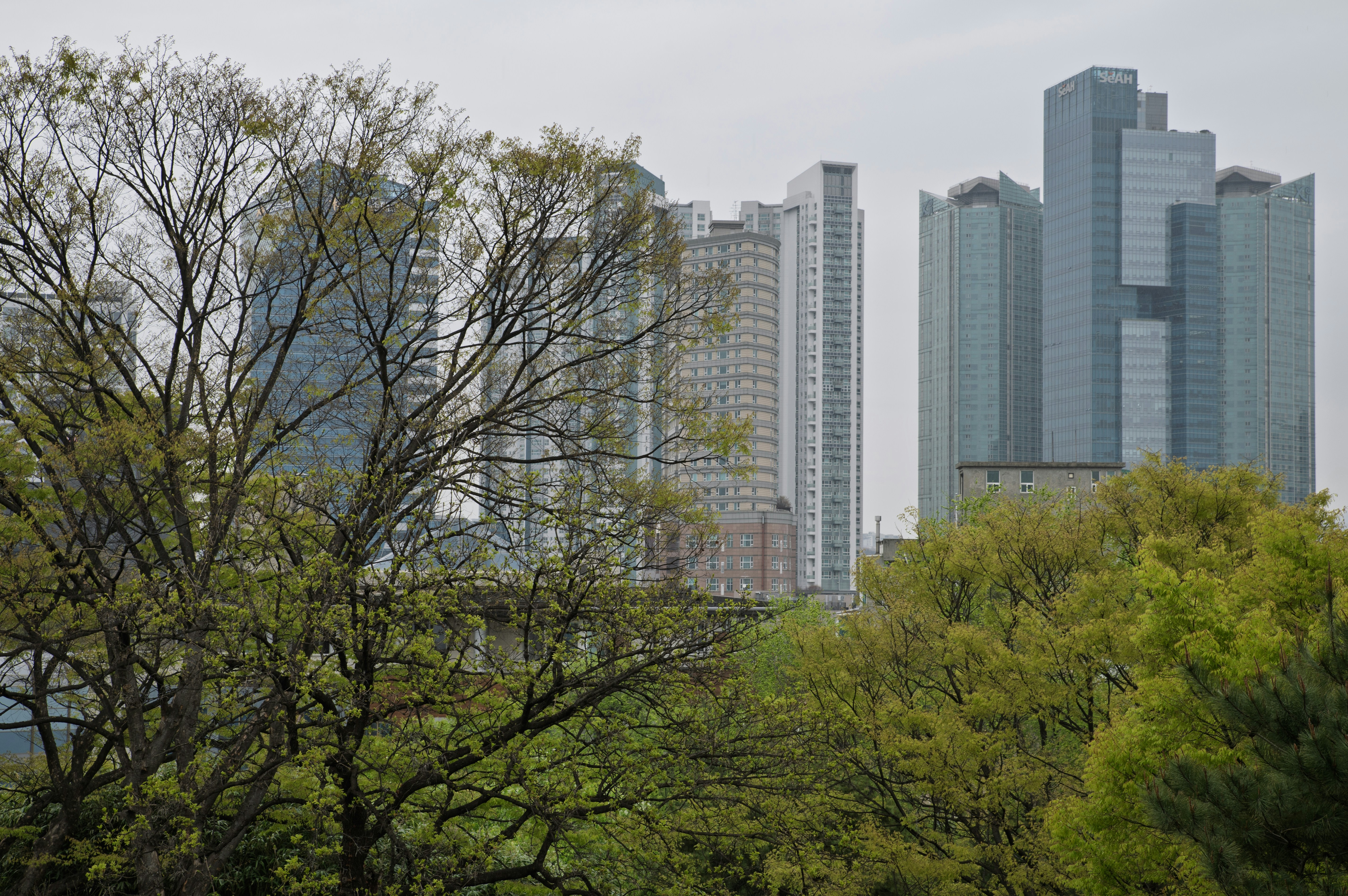 Photo by tracminhvu