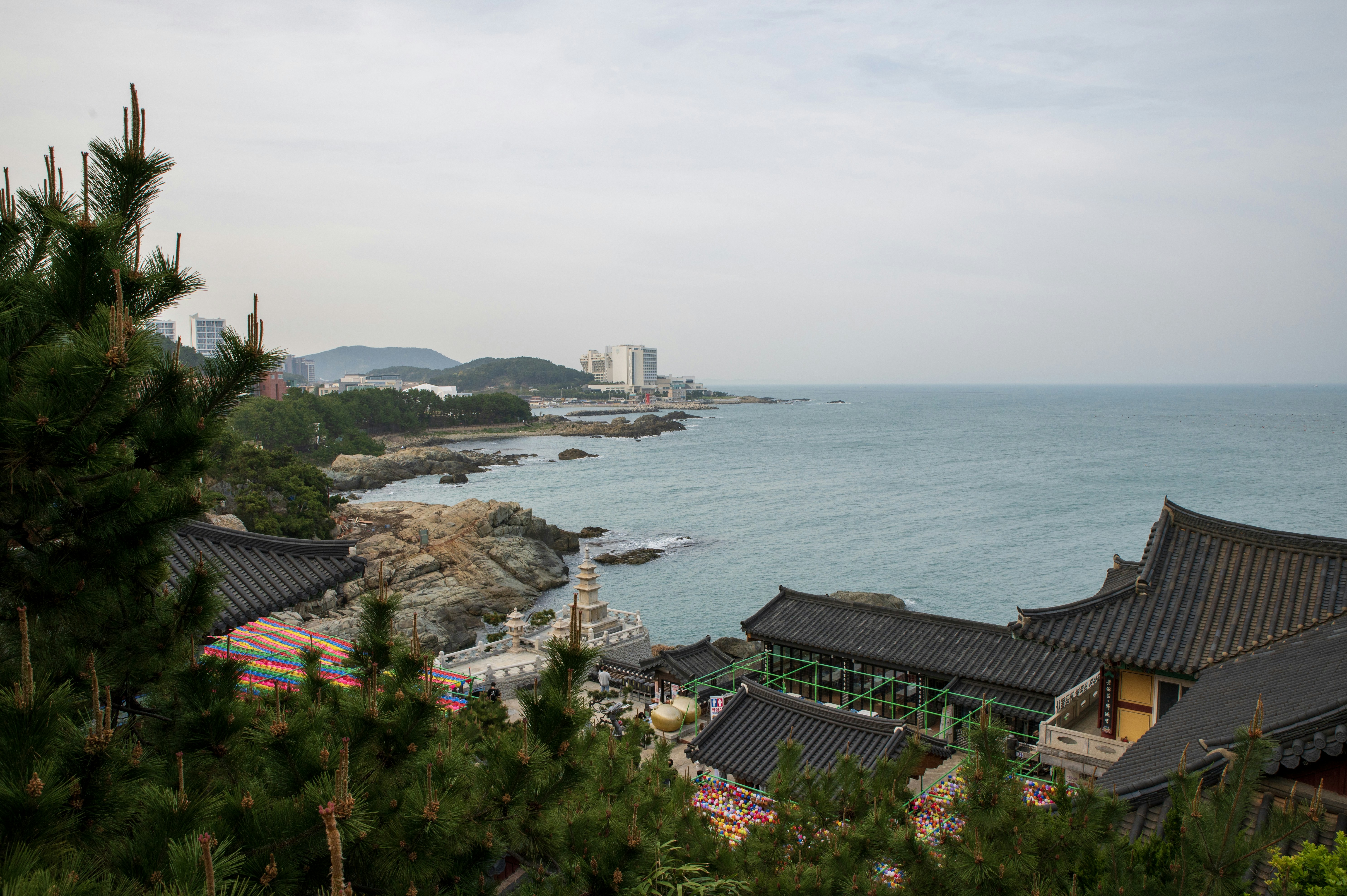 Photo by tracminhvu