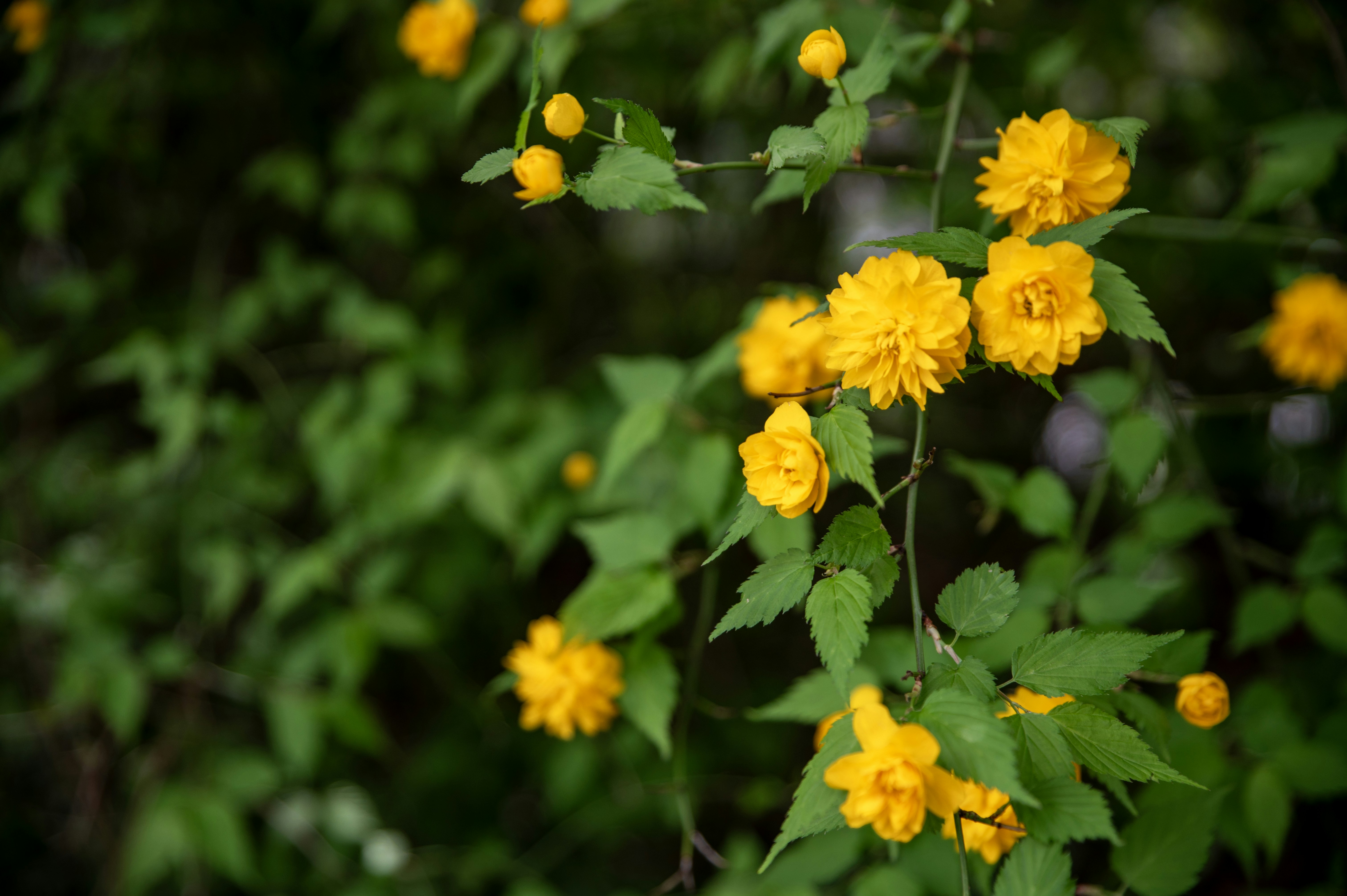 Photo by tracminhvu