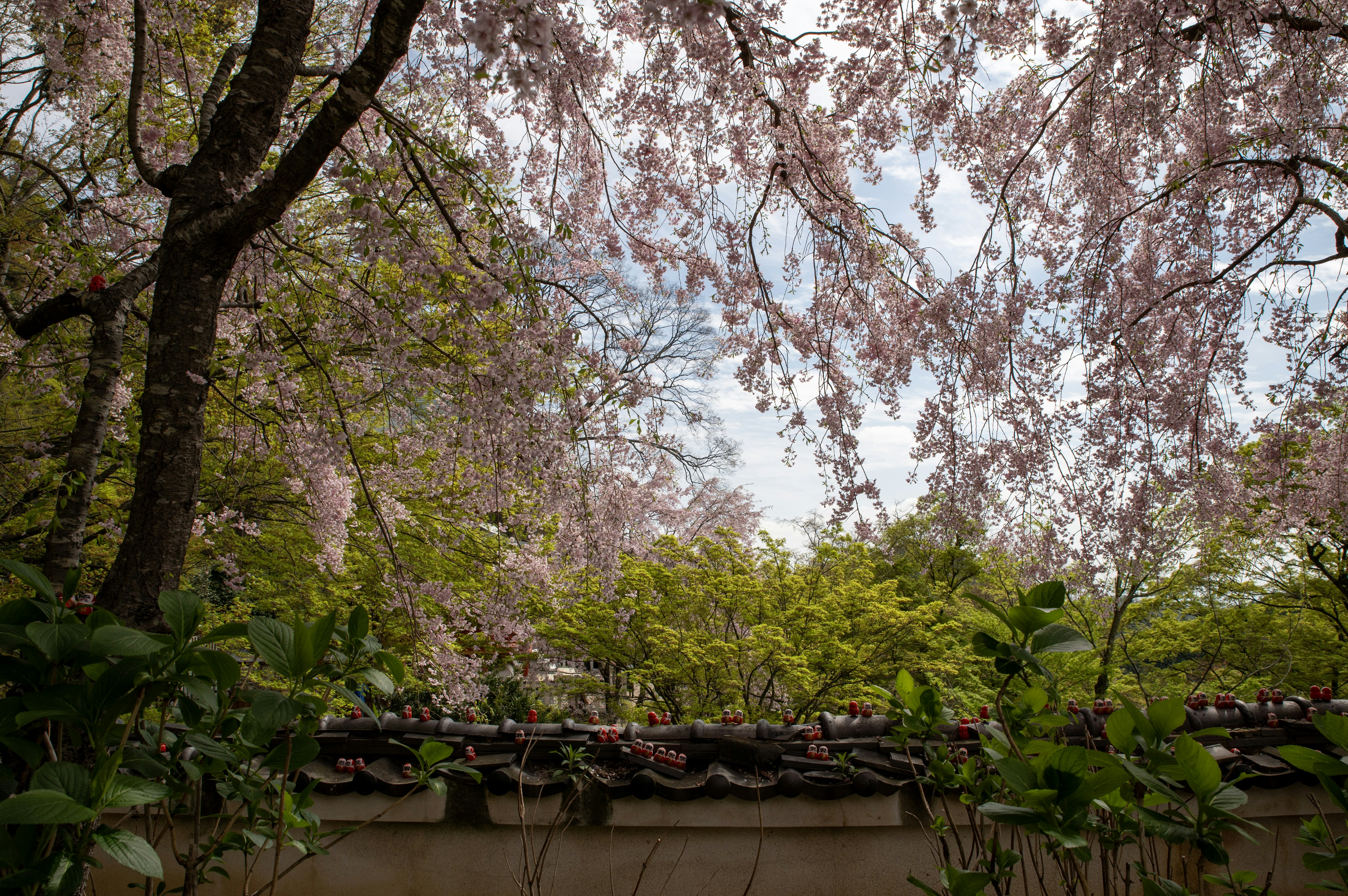 Photo by tracminhvu