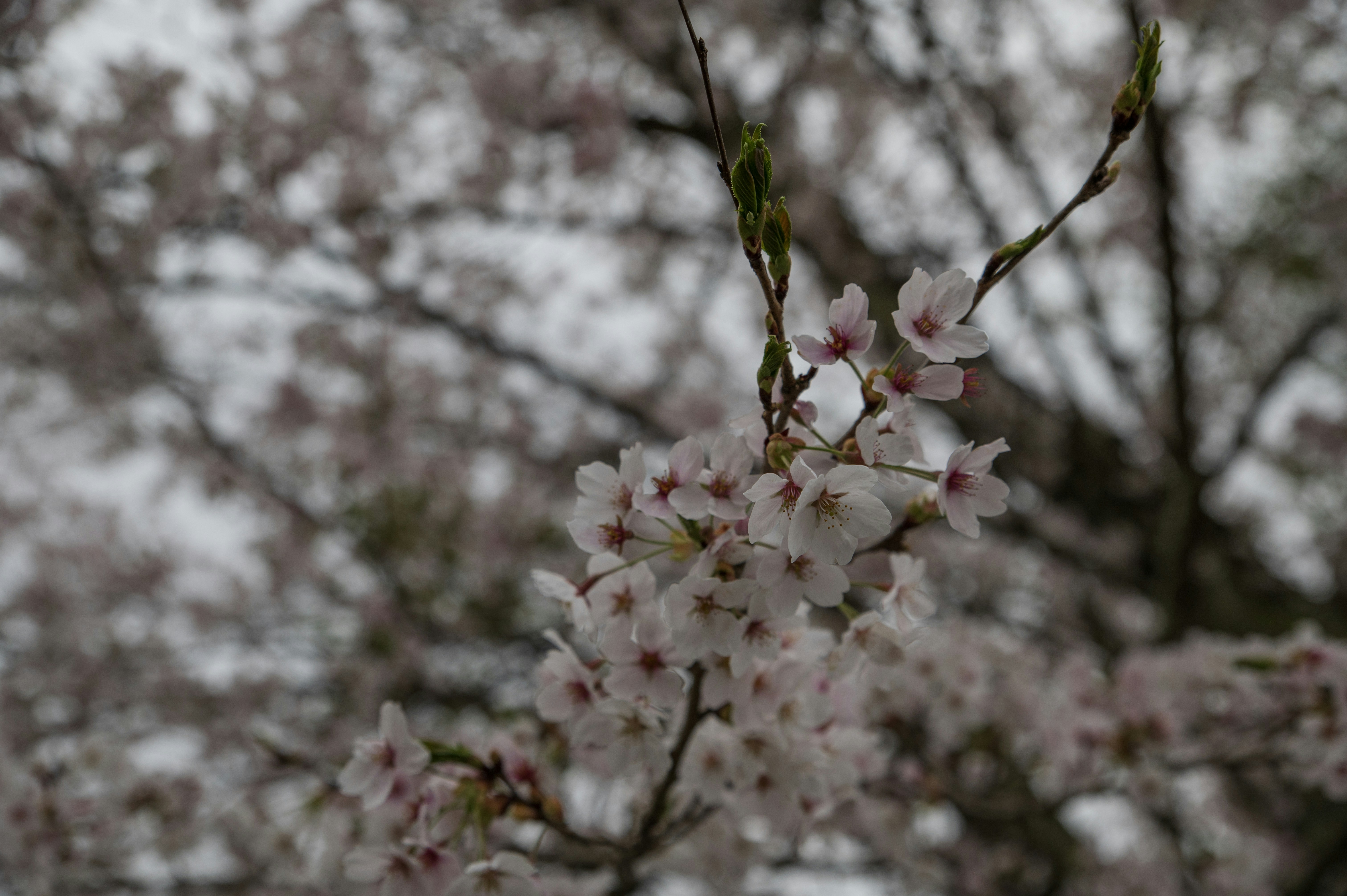Photo by tracminhvu