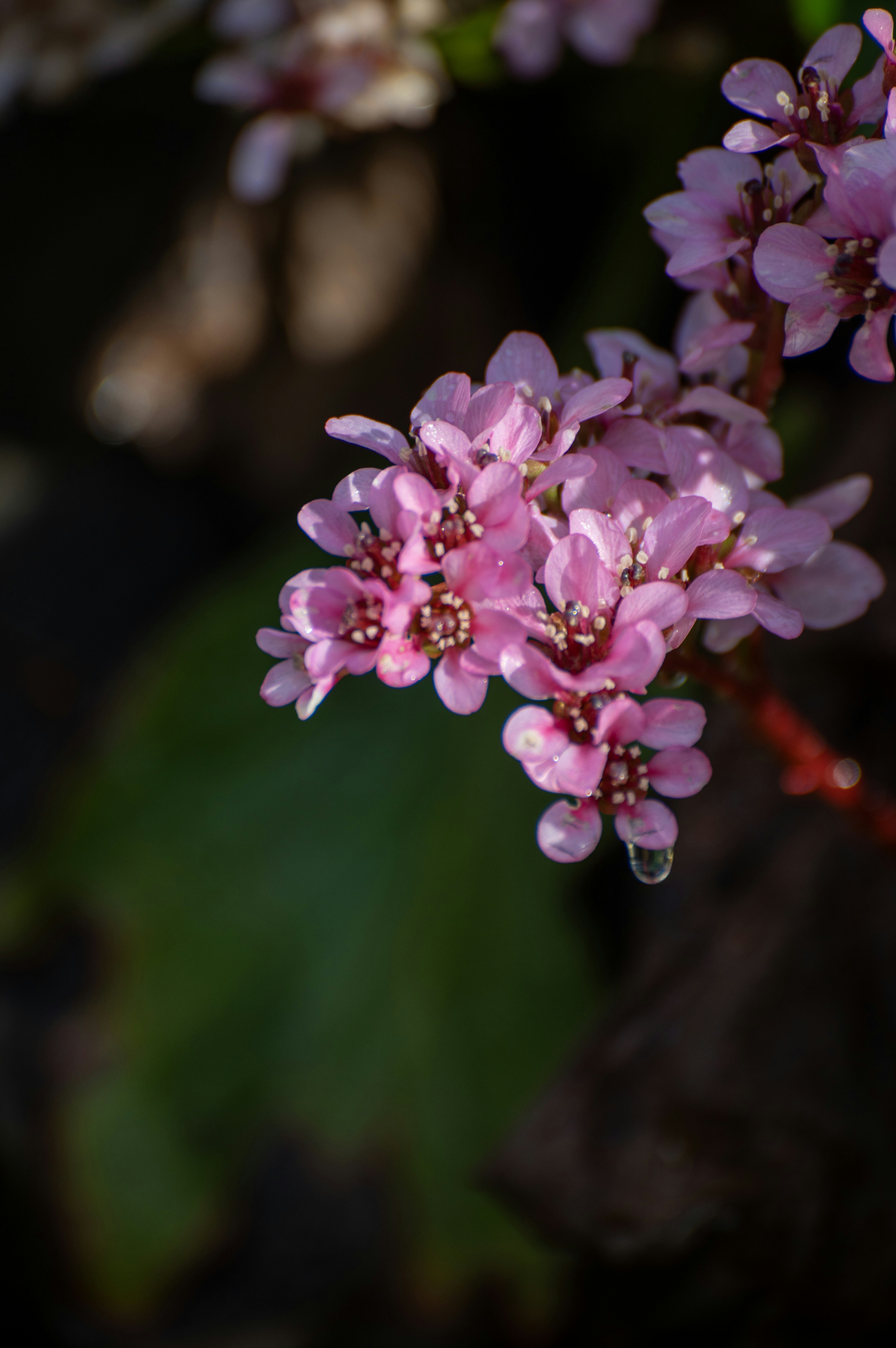 Photo by tracminhvu