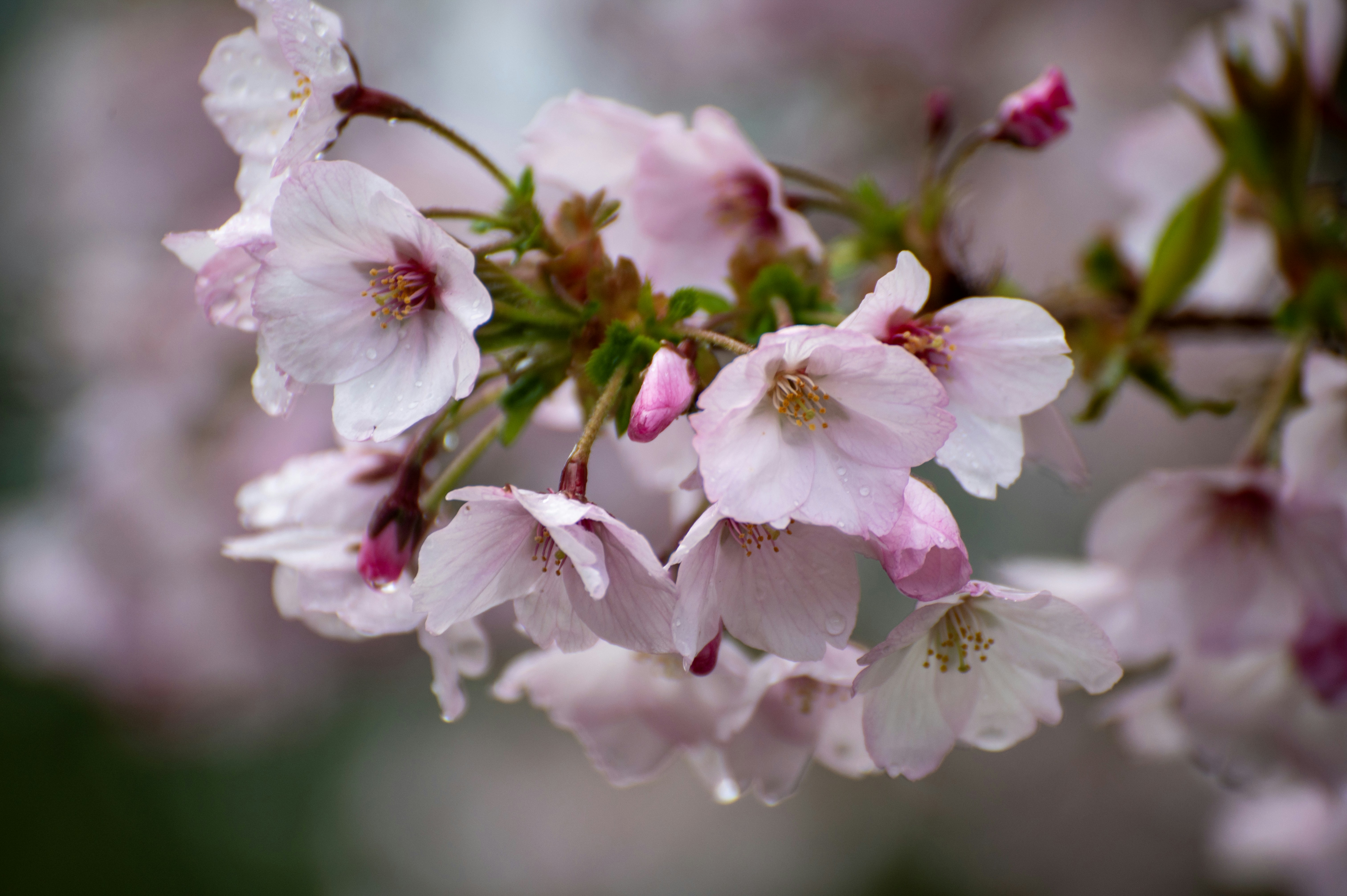 Photo by tracminhvu