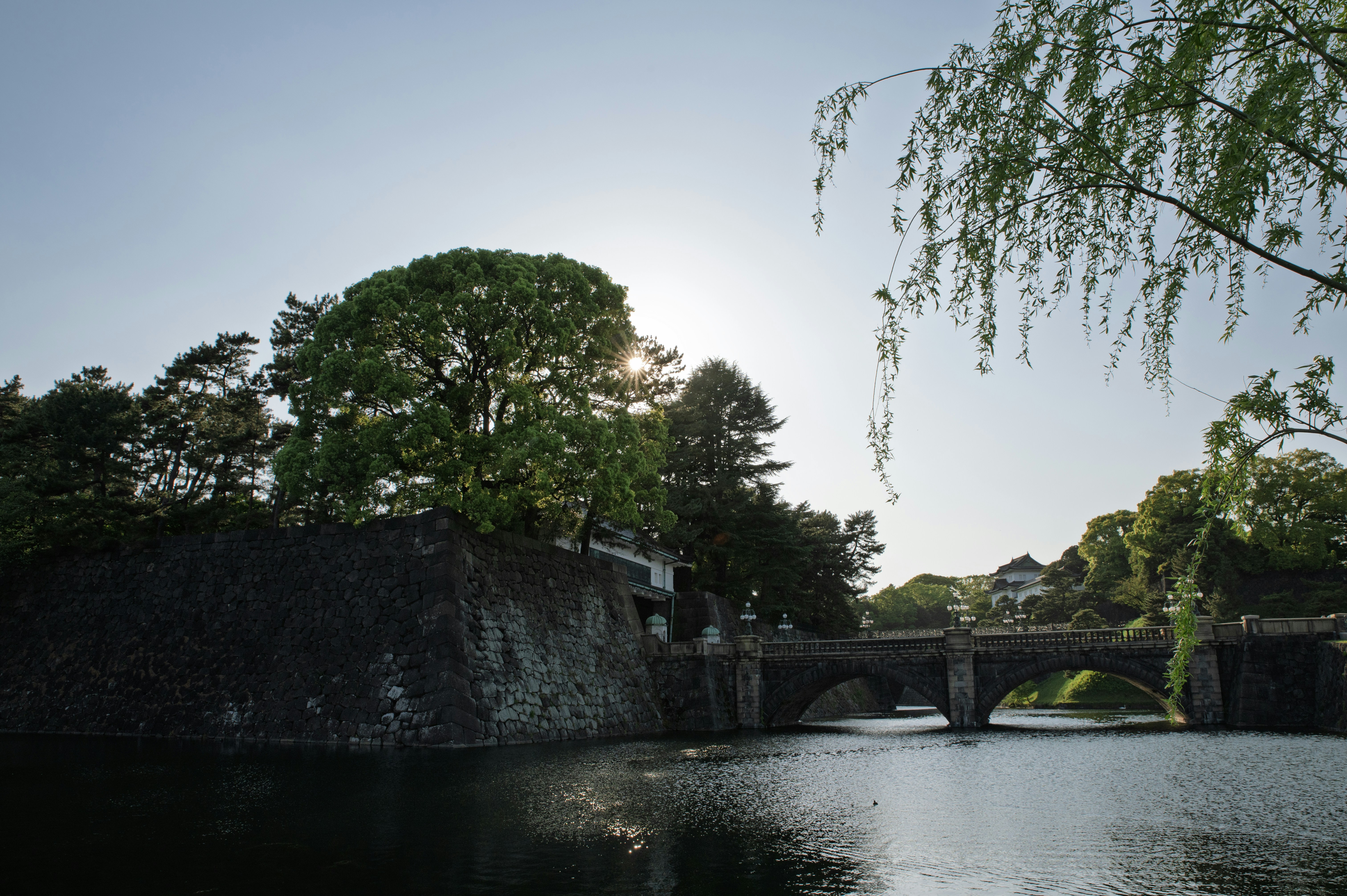 Stone bridge over water with trees and sunlight