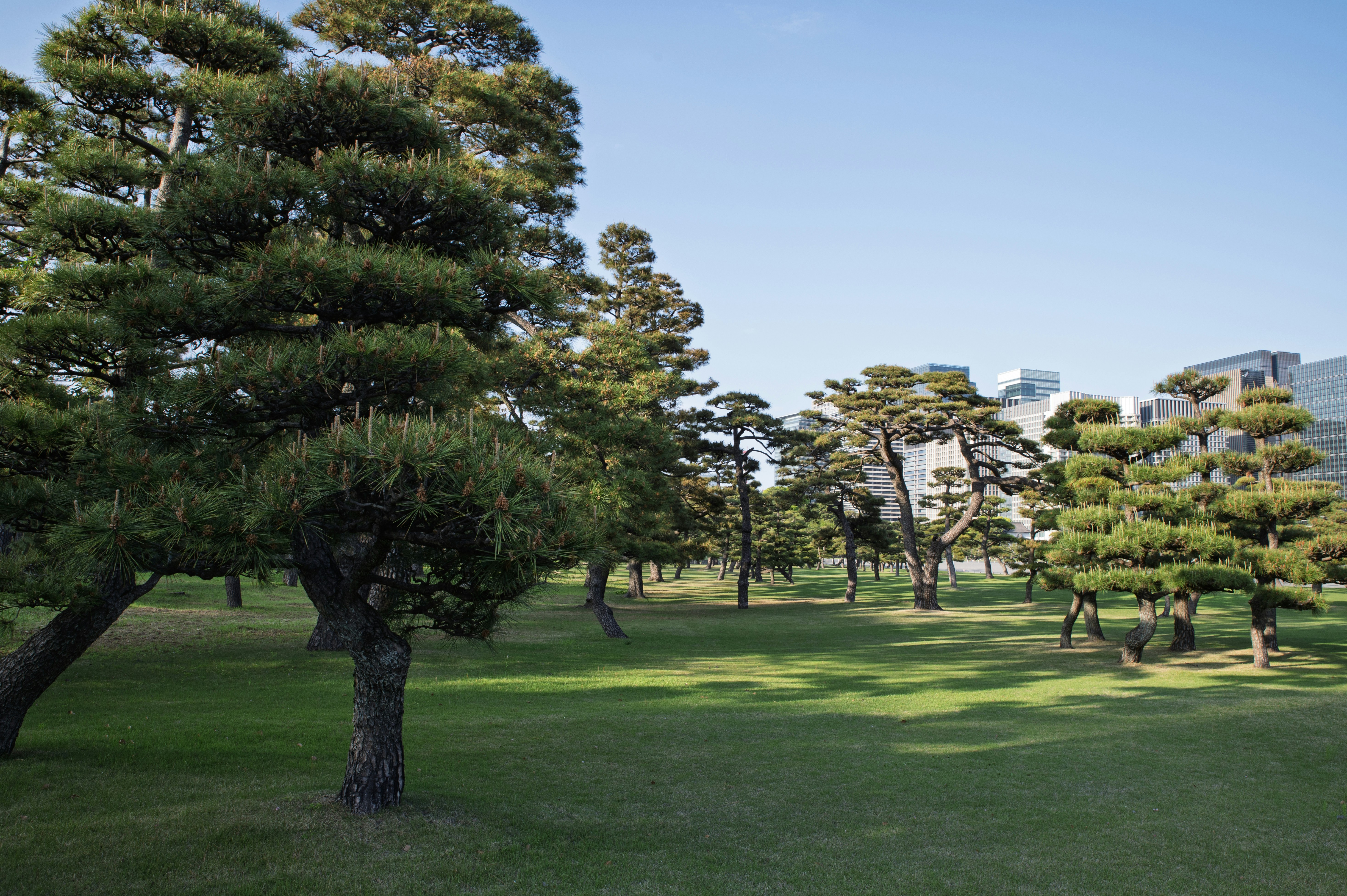 Photo by tracminhvu