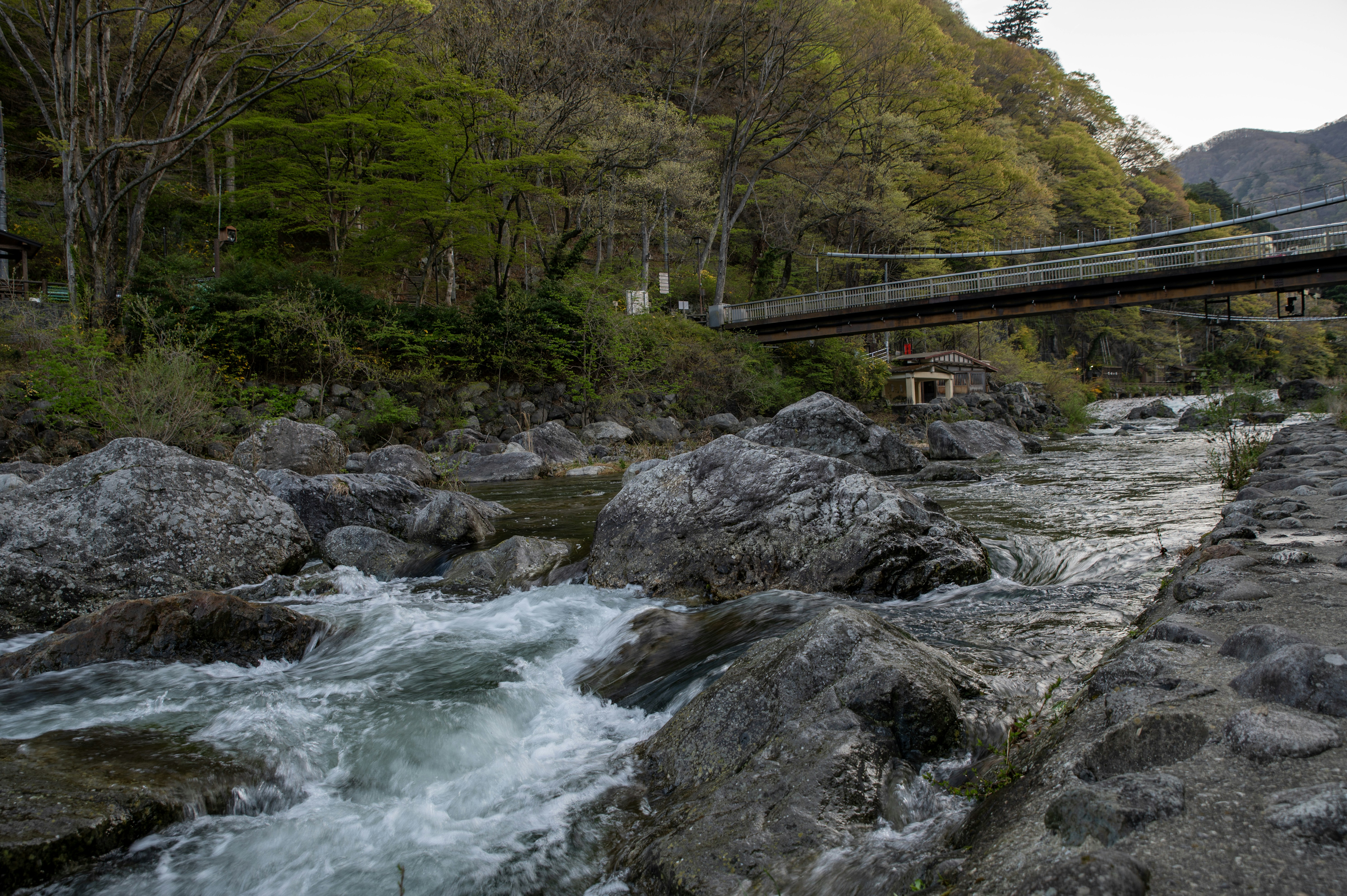 Photo by tracminhvu