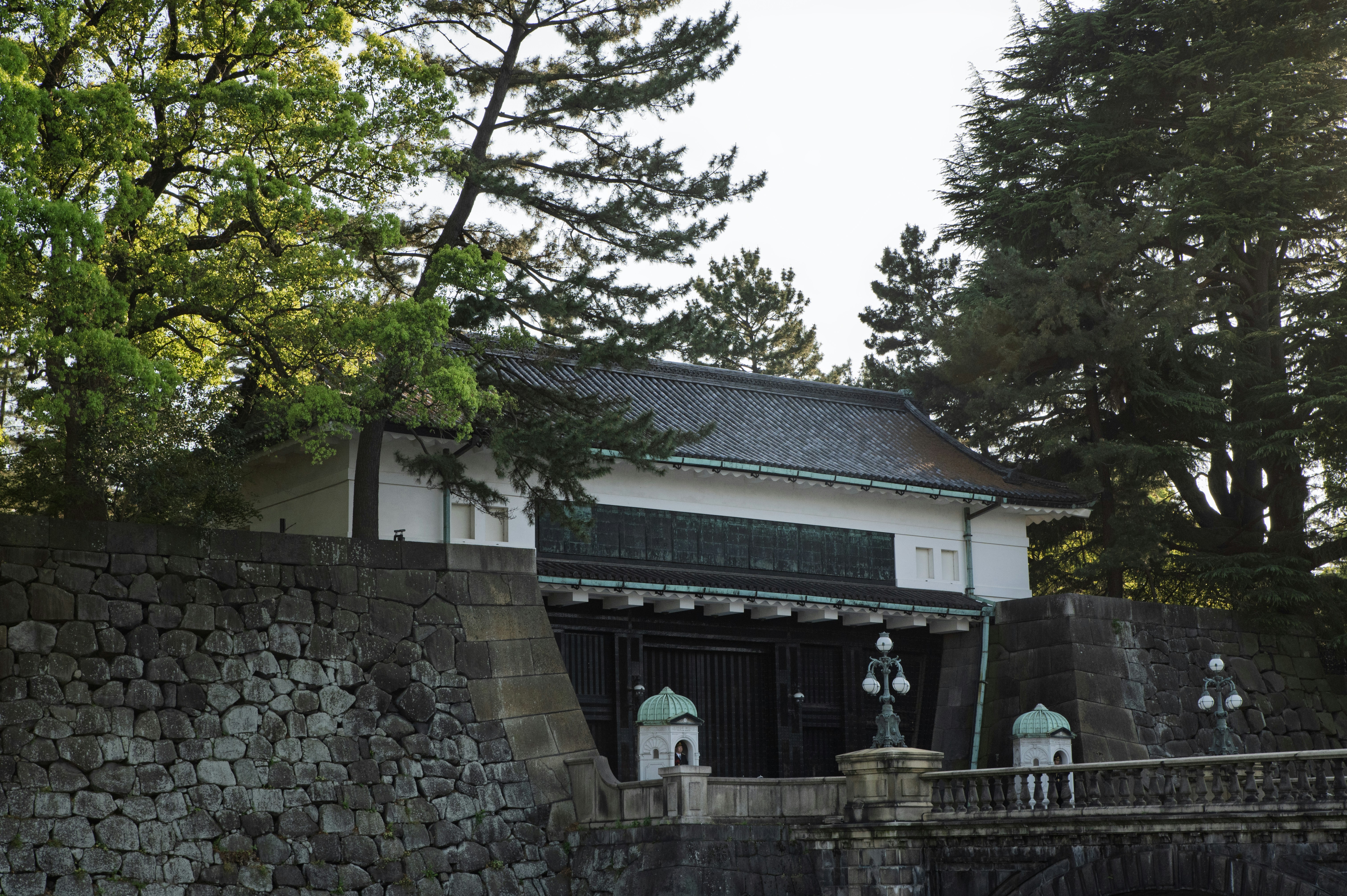 Photo by tracminhvu