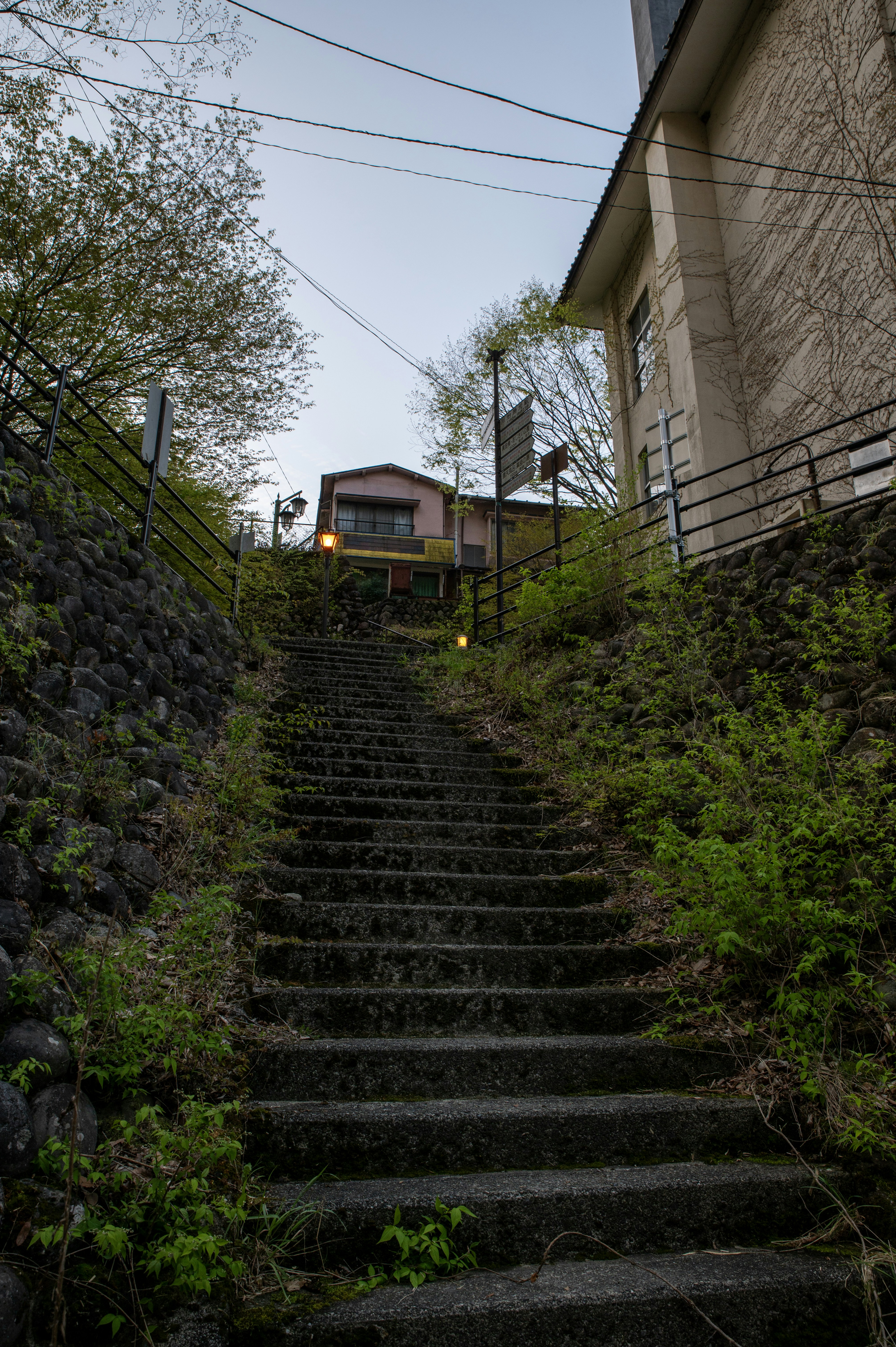 Photo by tracminhvu