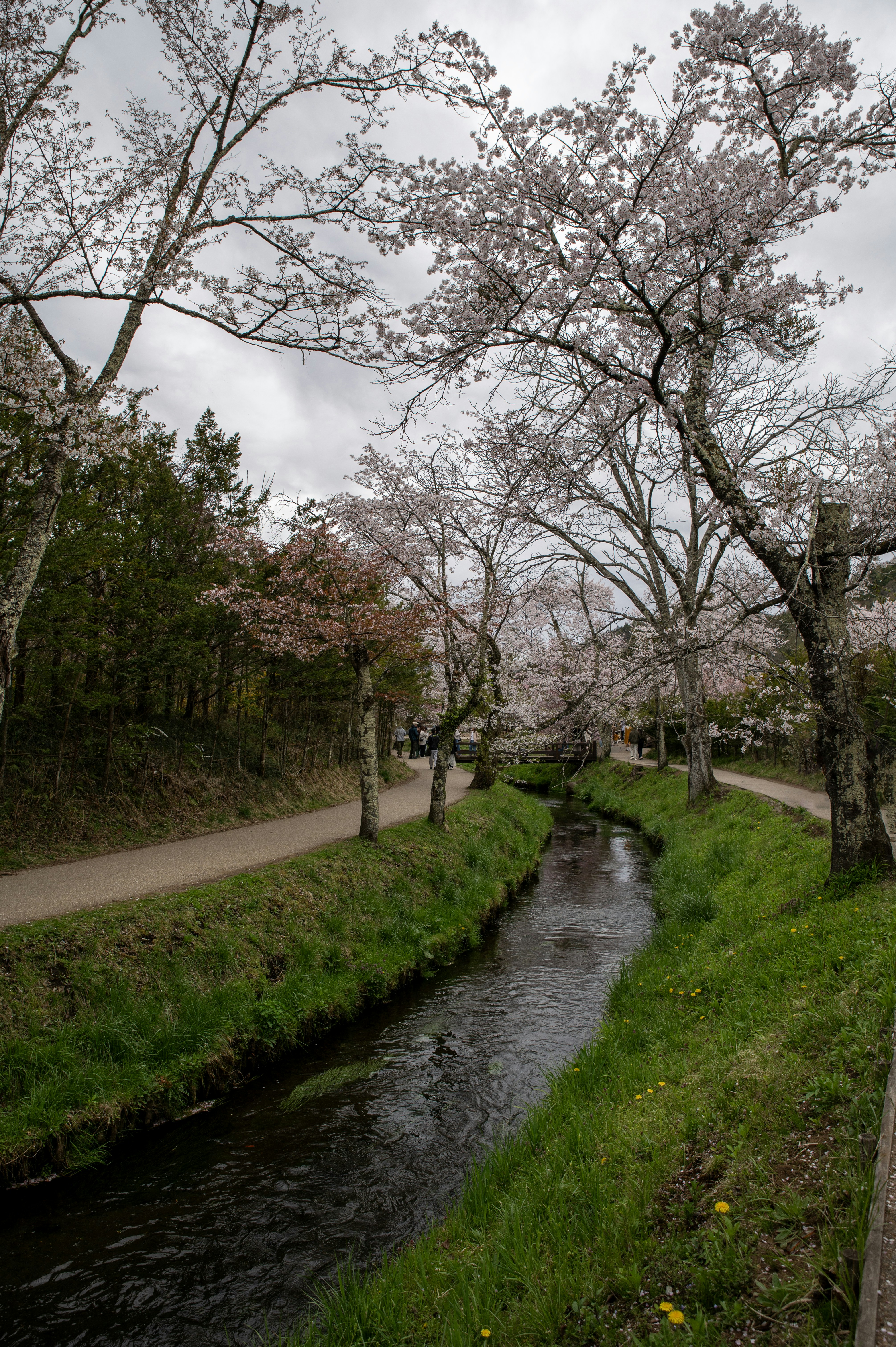 Photo by tracminhvu