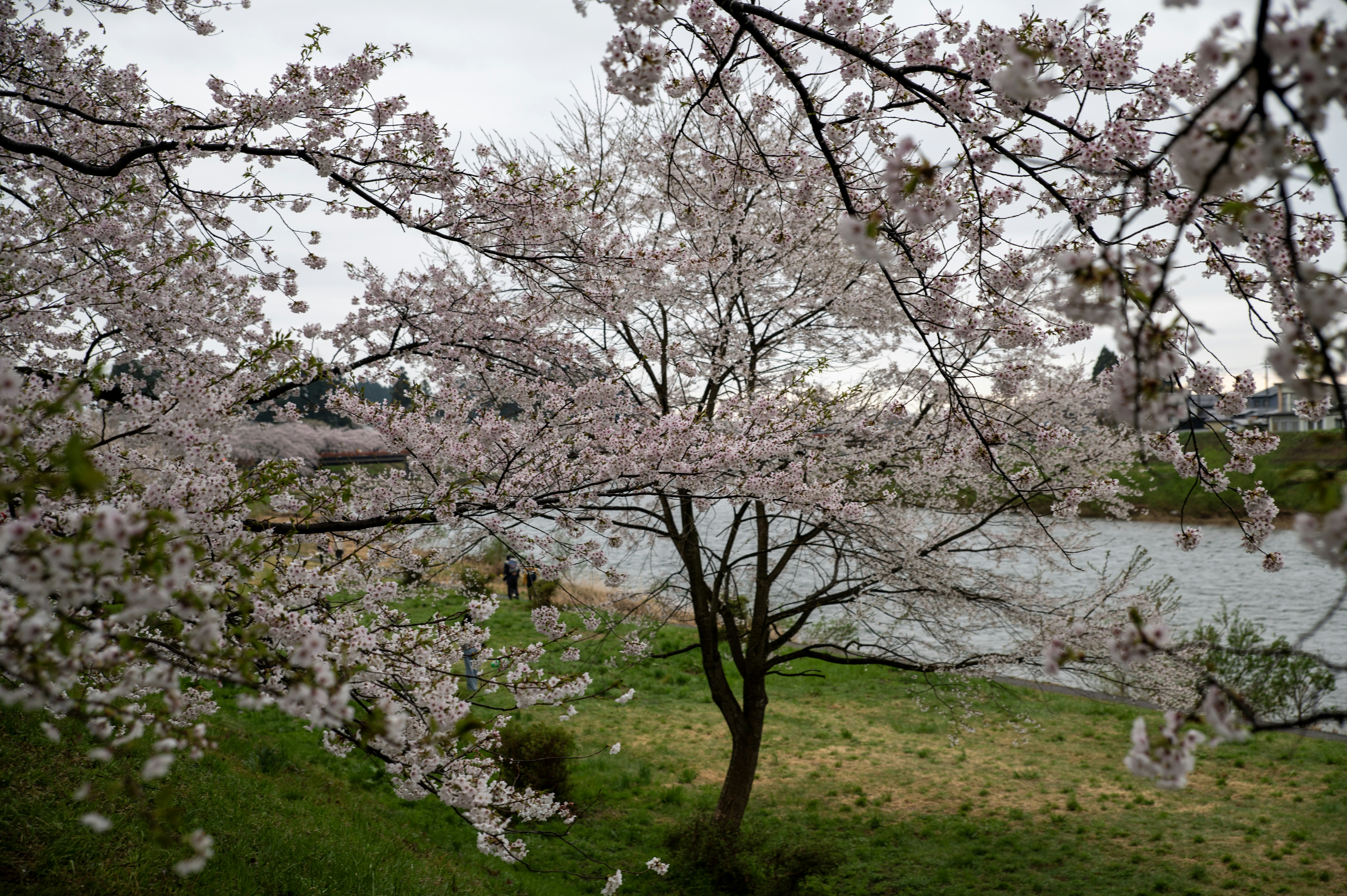 Photo by tracminhvu