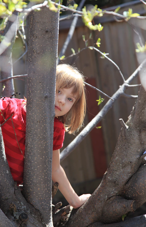 Little girl peeking from behind a tree trunk.