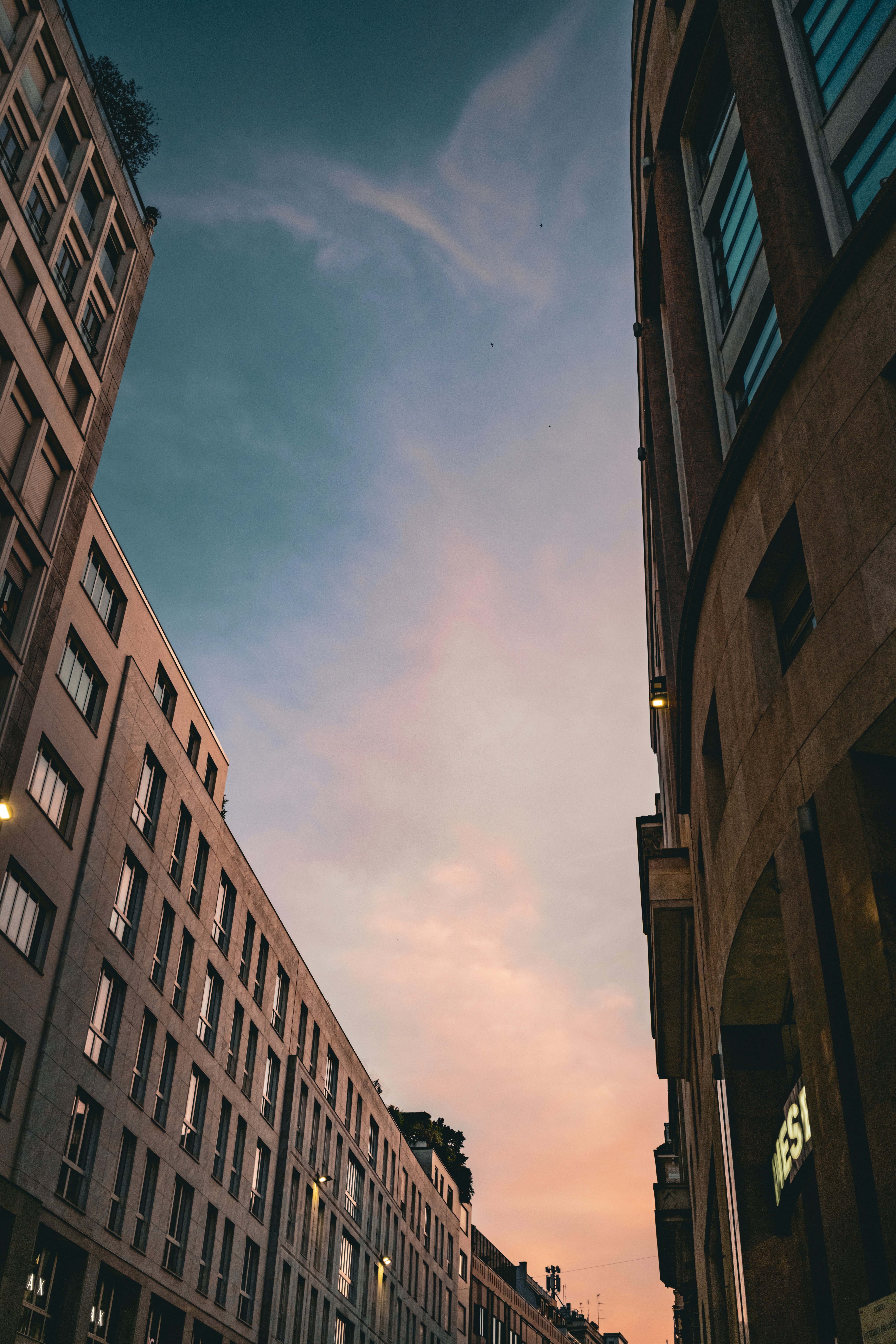 Photo by paolobici
