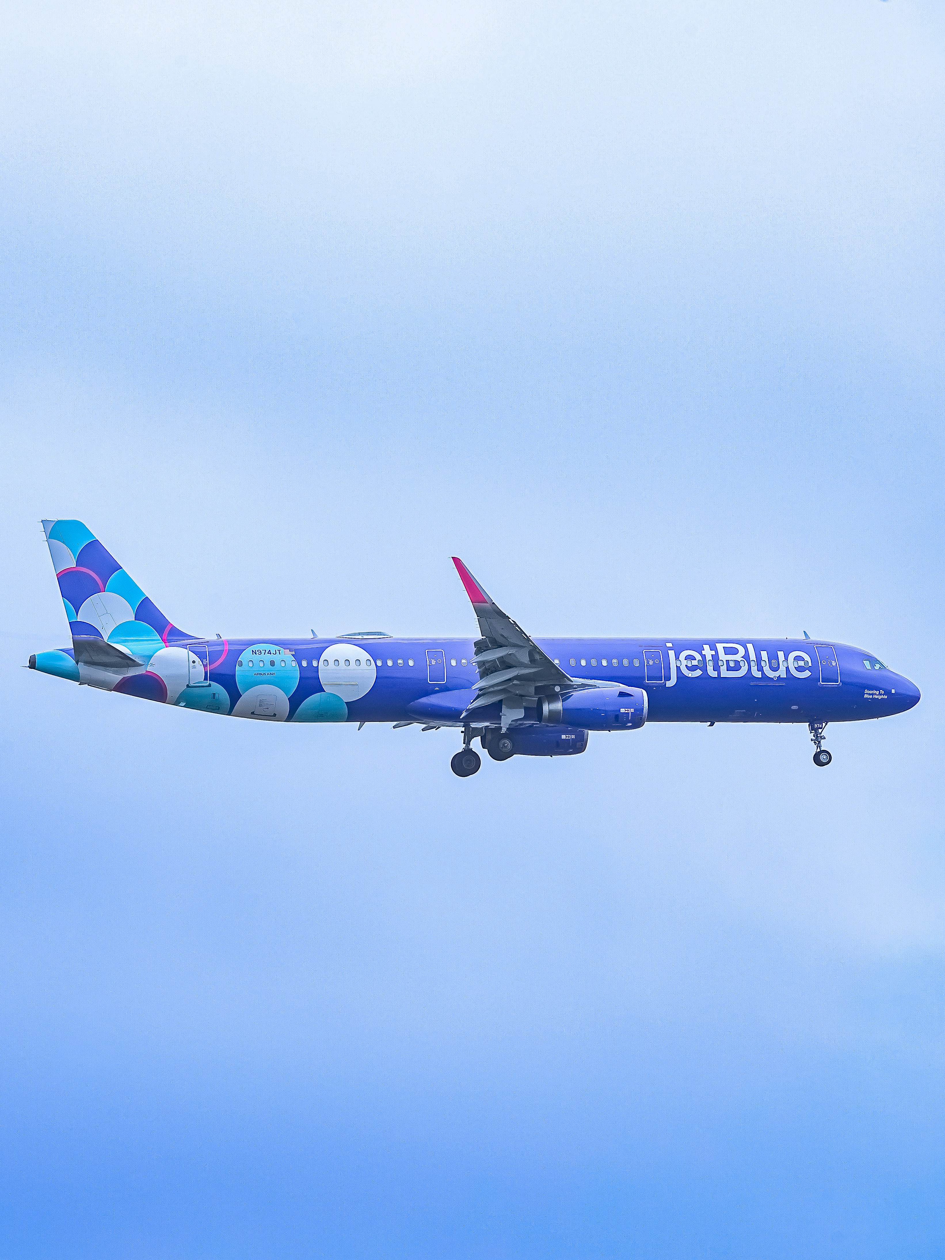 A blue jetblue airplane flying in the sky.