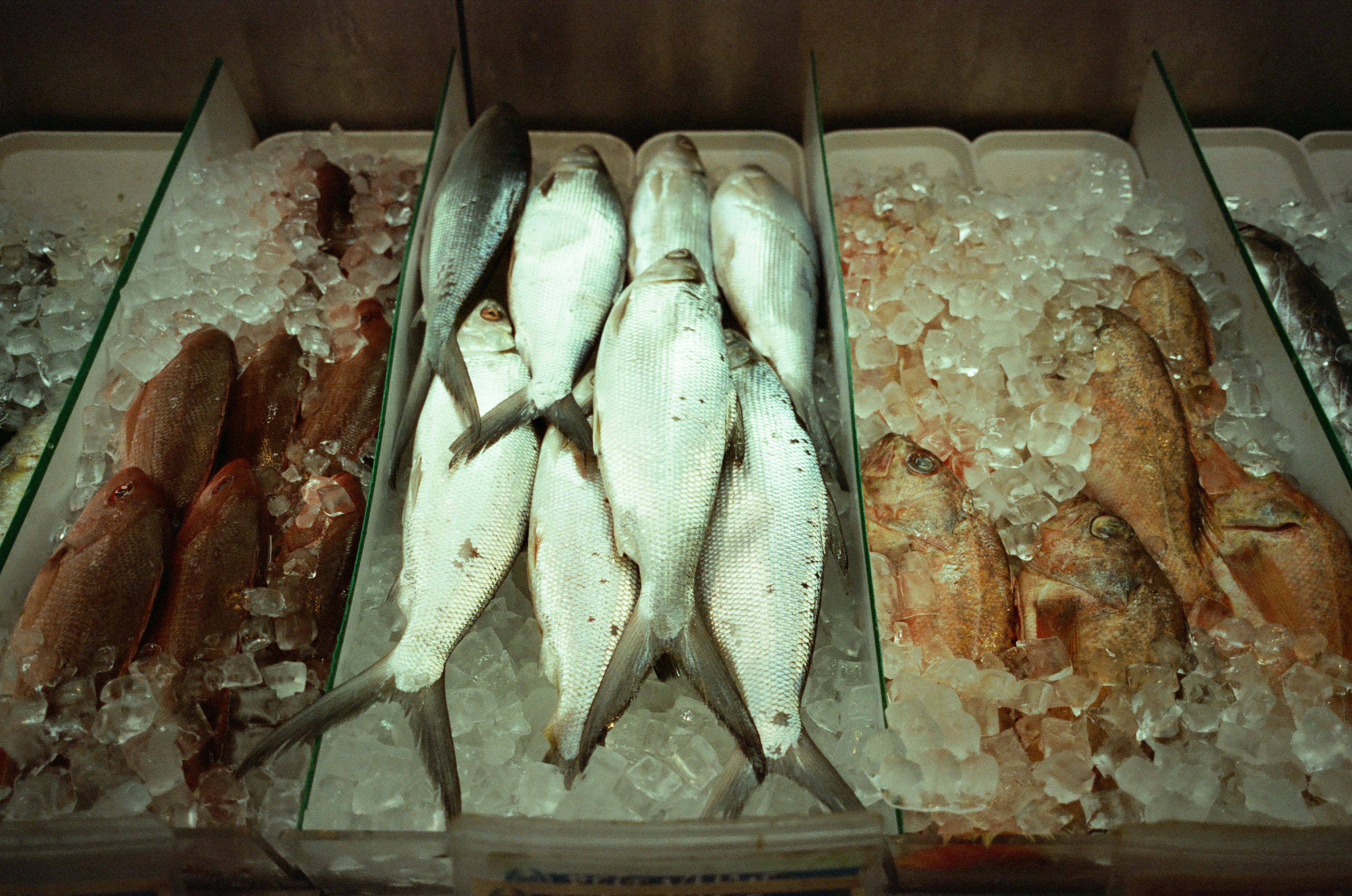Fresh fish displayed on ice at a market.