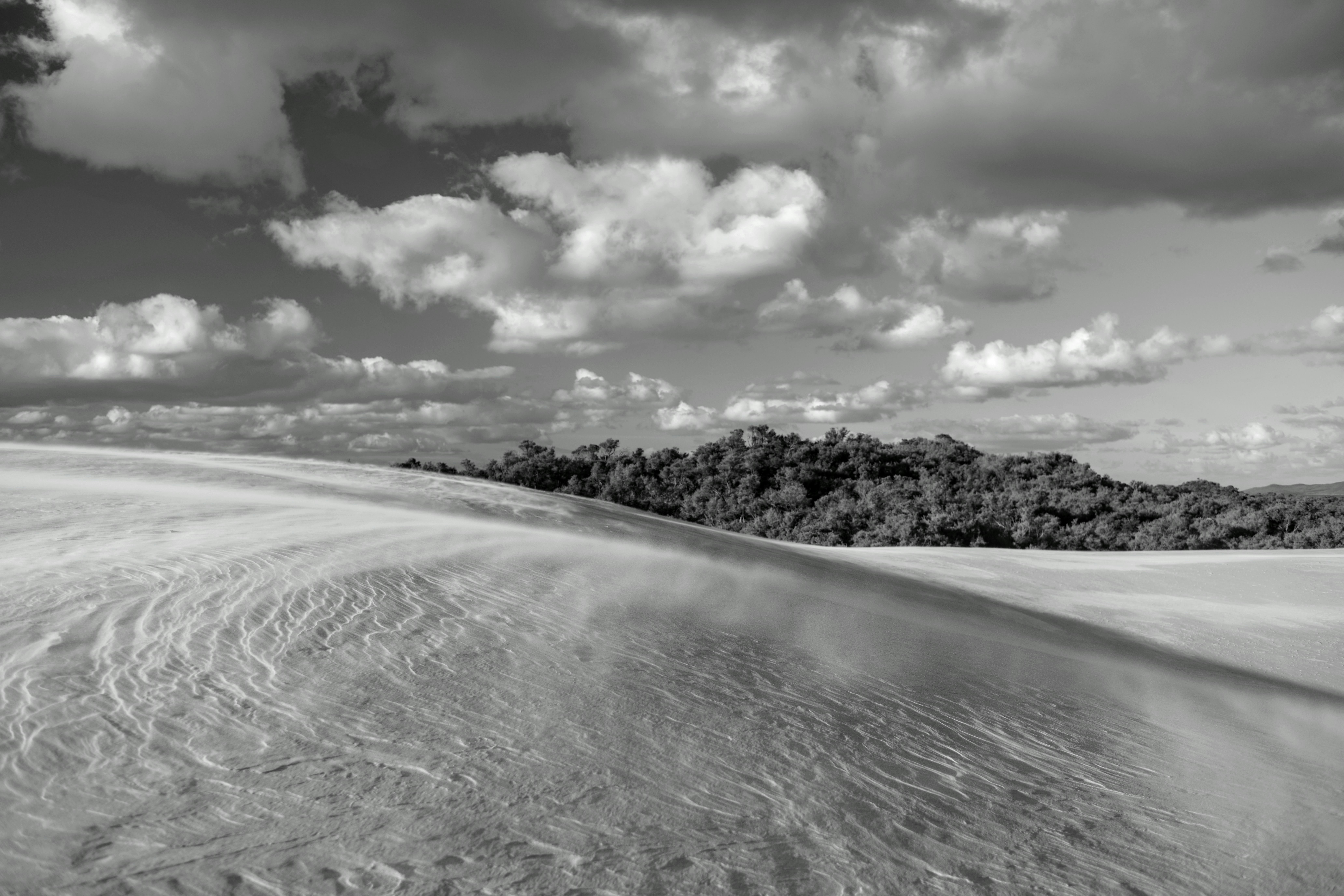 Dune sabbiose con schemi di vento e alberi lontani