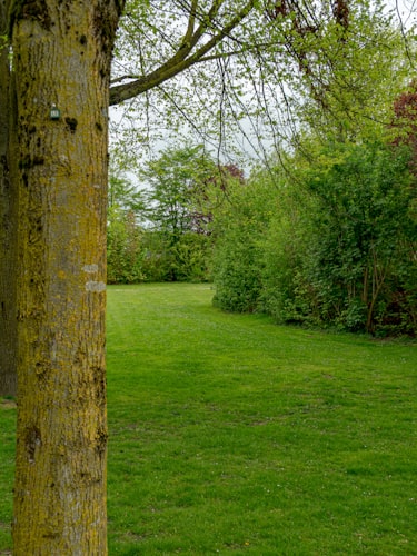 After — Section Cleared for Landlord