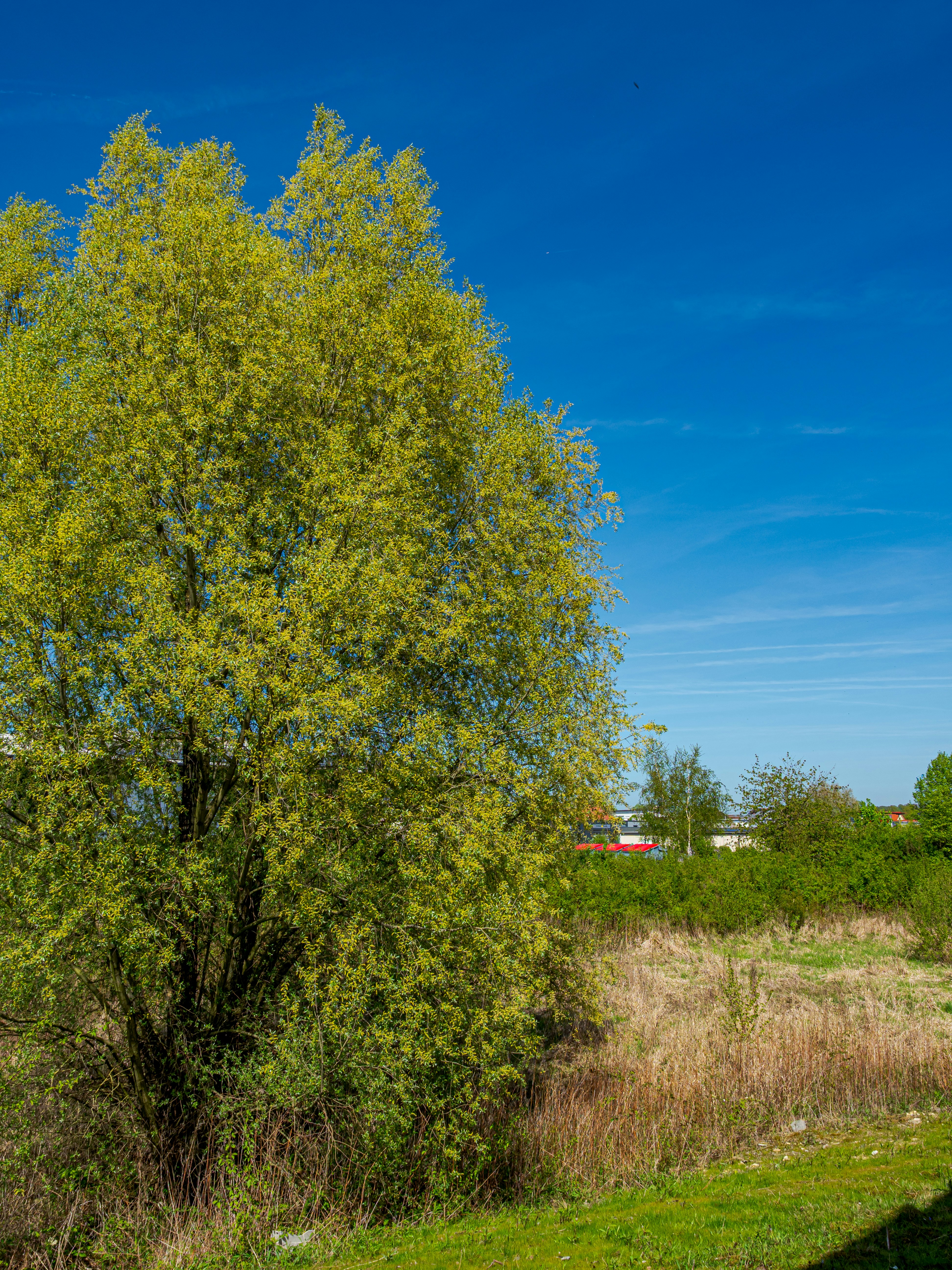 Photo by skstrannik