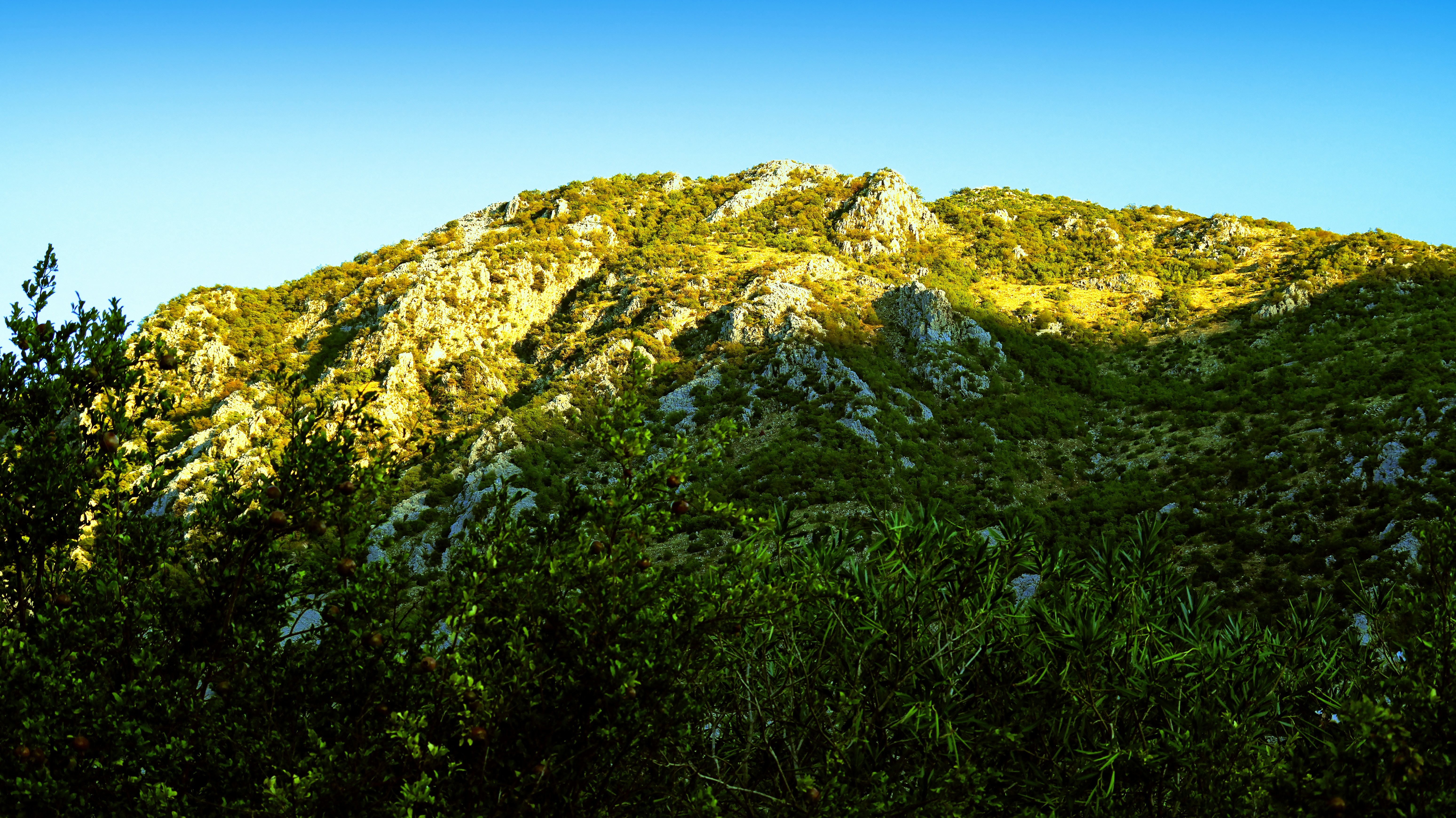 Sunlit rocky hill covered in green vegetation