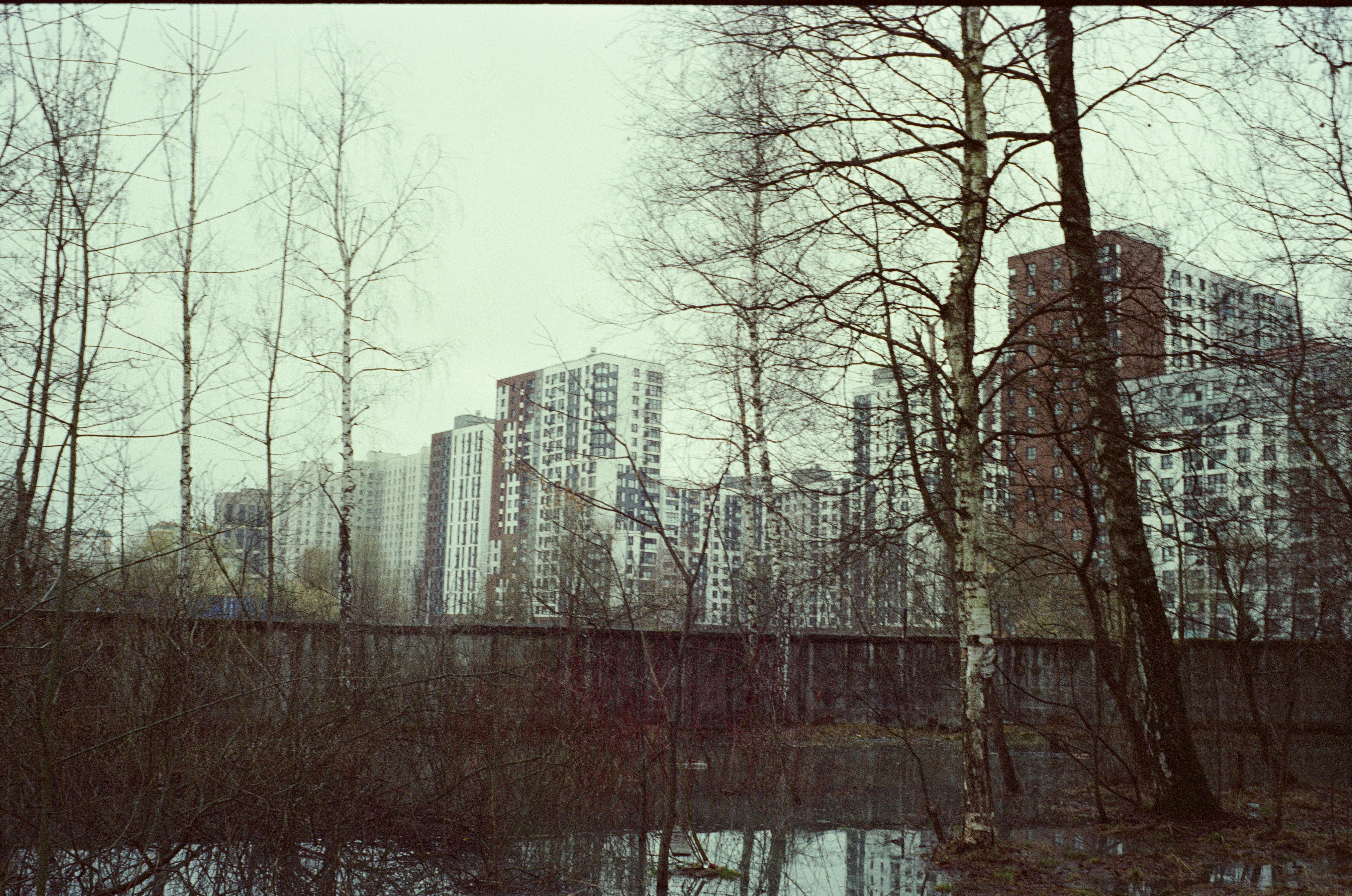 Prédios de apartamentos vistos através das árvores nuas em um dia nublado.