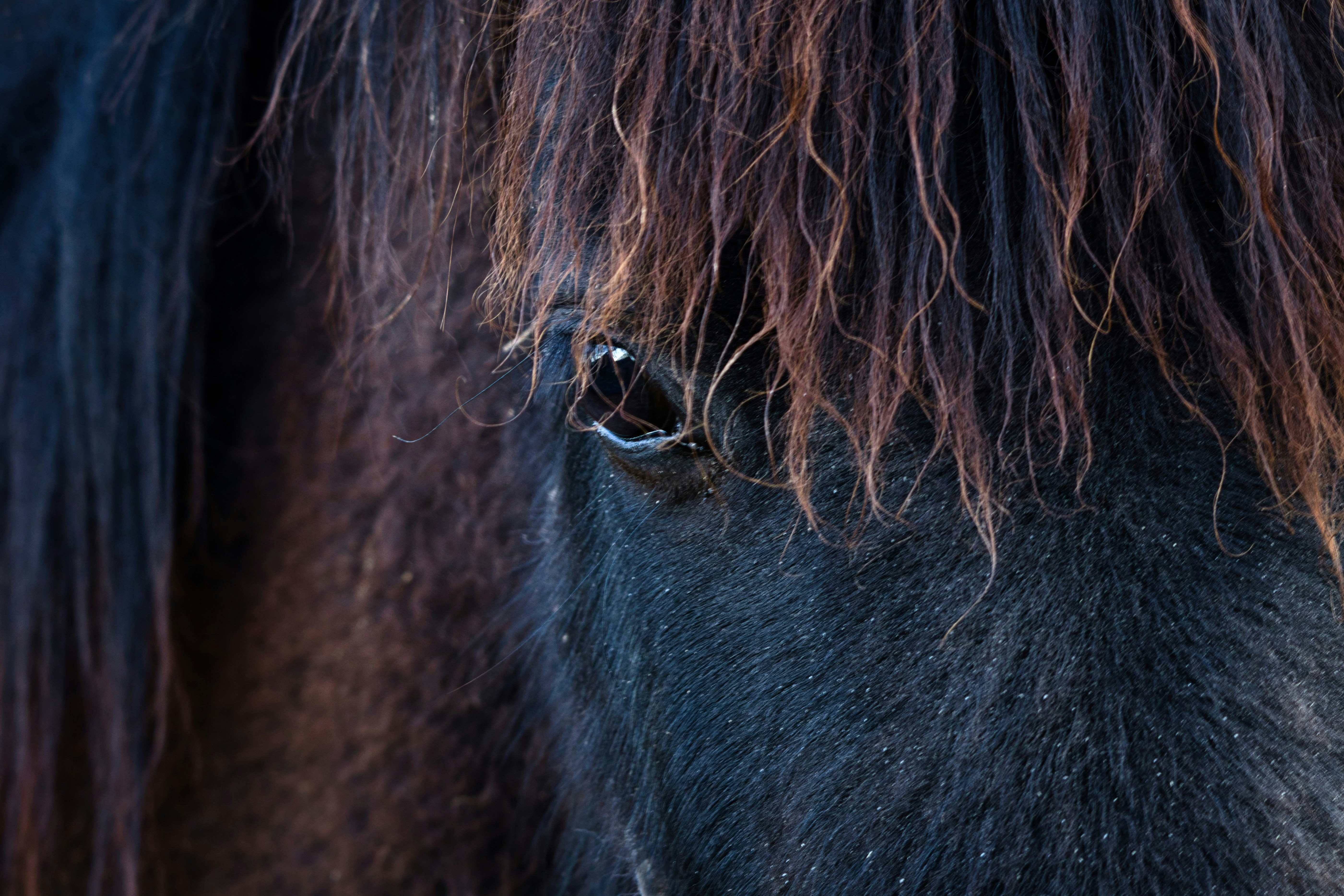 Photo by wvrede