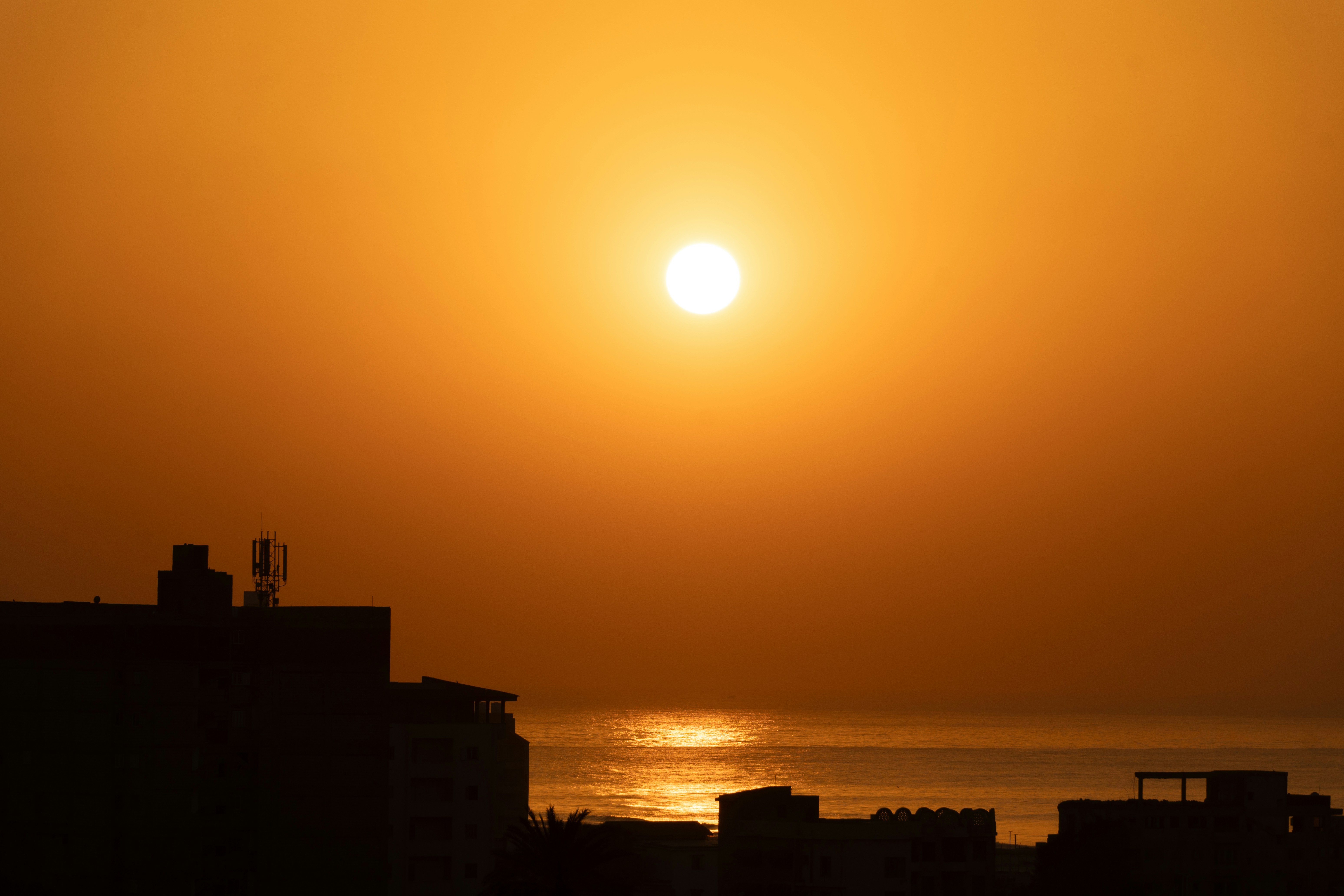 Photo by youssmub