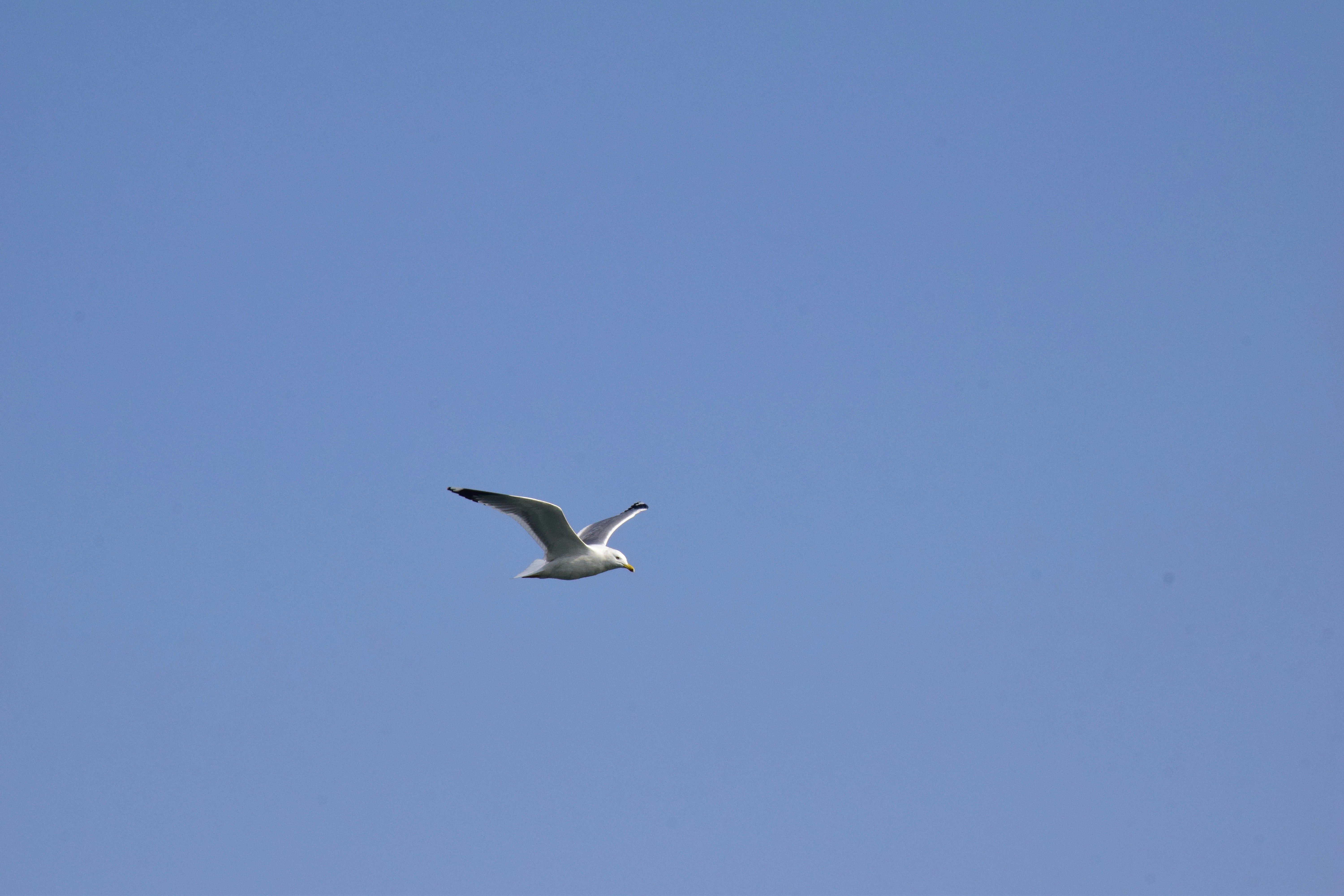 Photo by serolumen