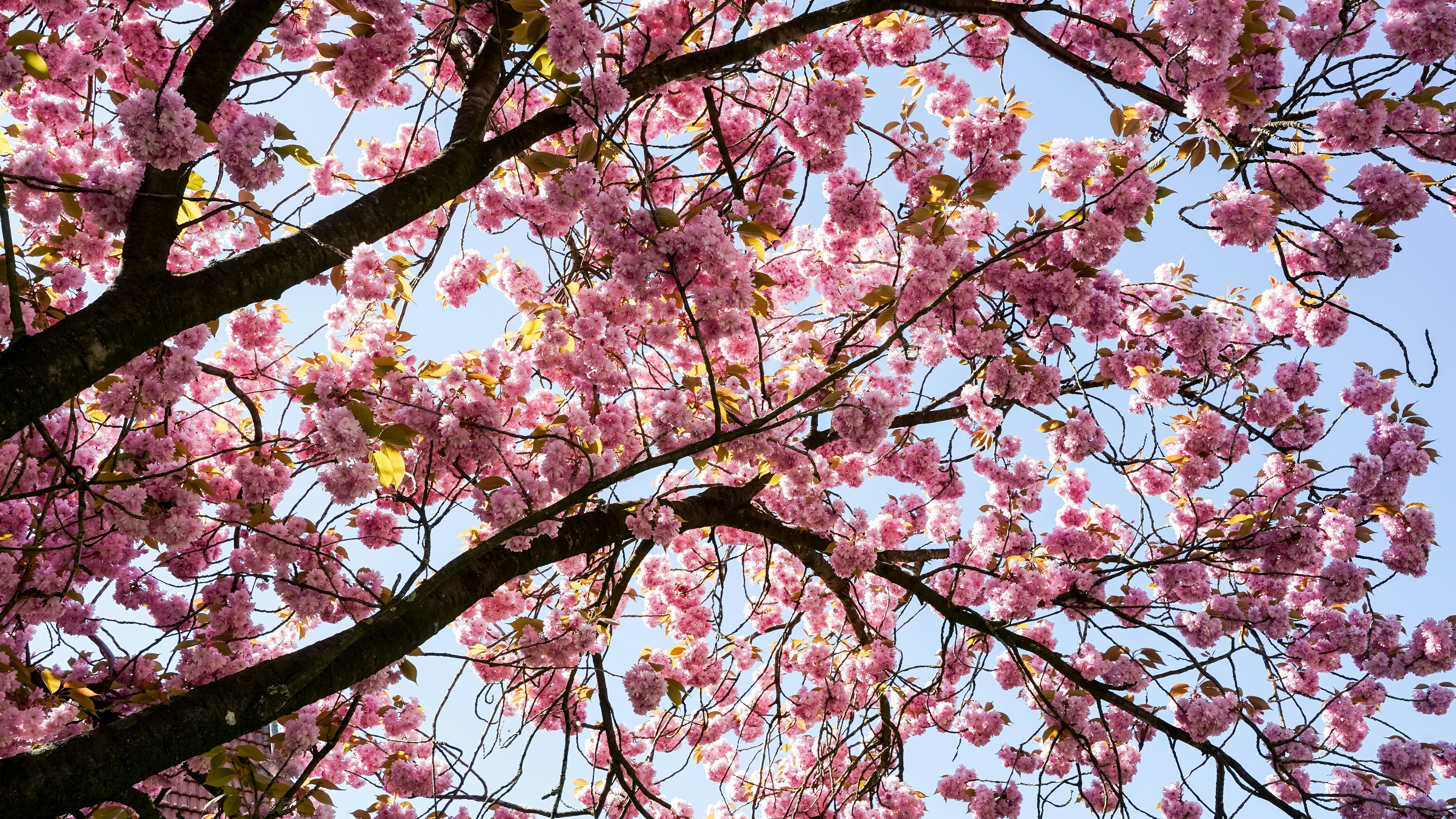 Photo by hamburgmeinefreundin