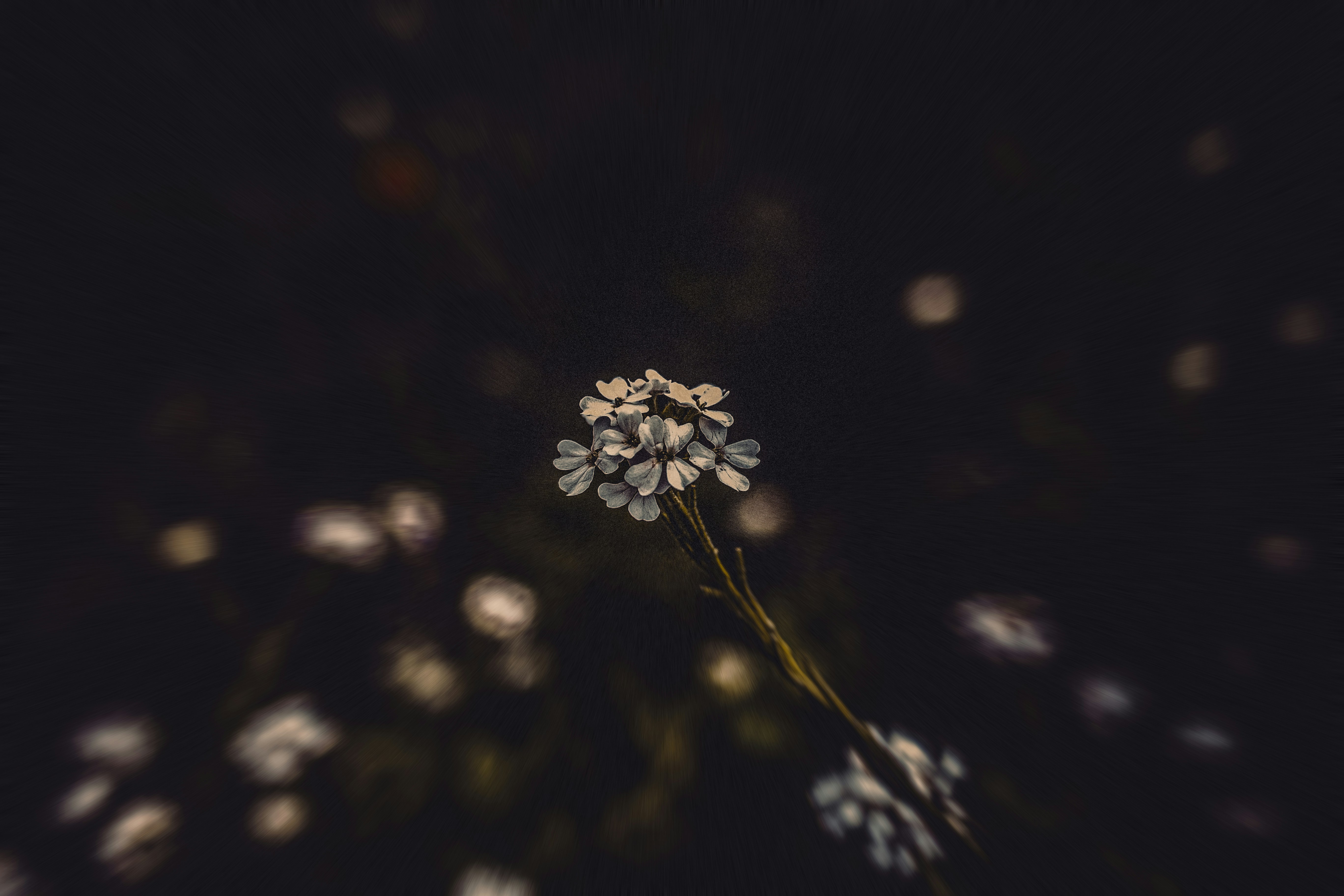 Photo by a_tqv