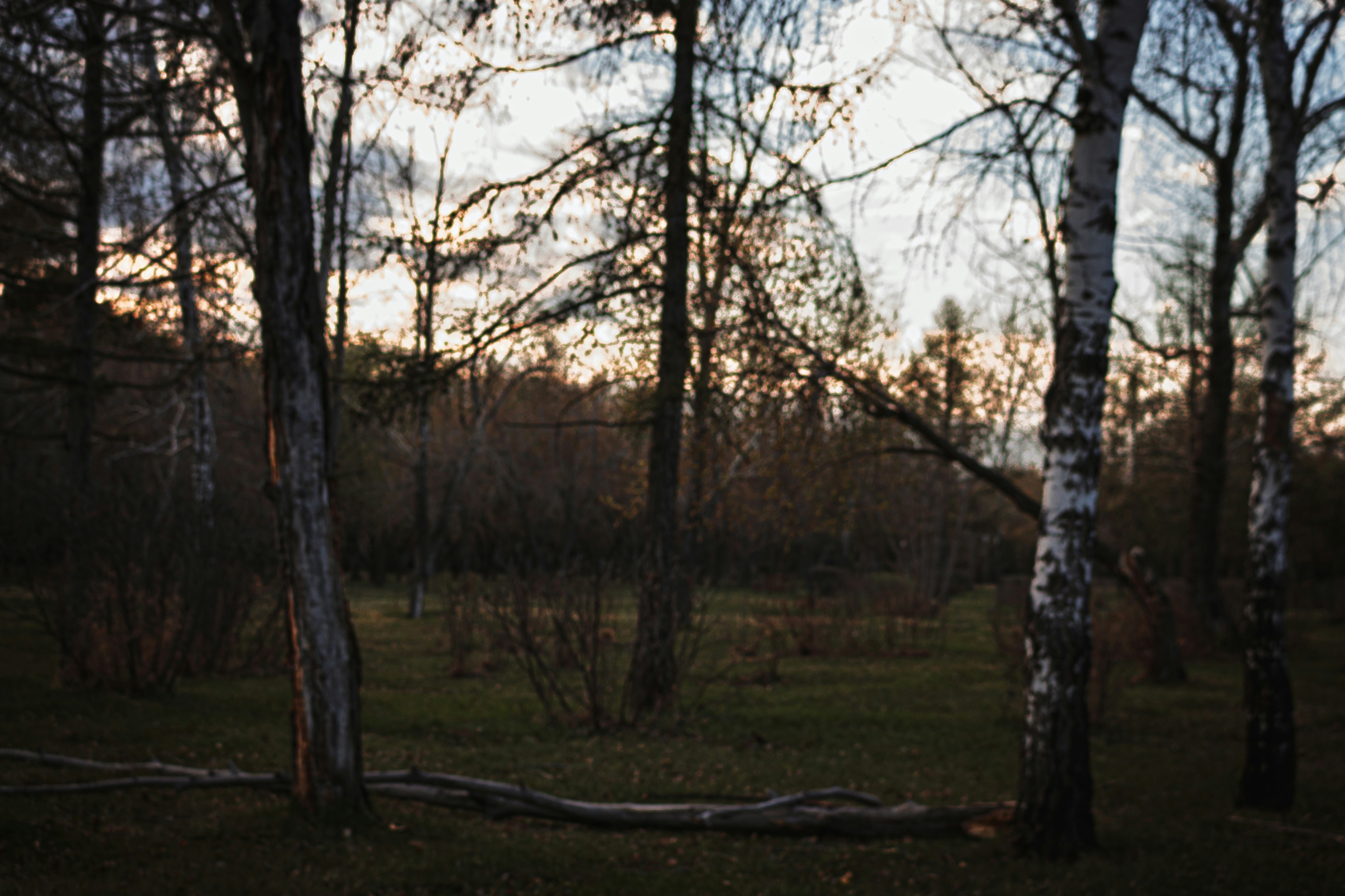 Photo by savvenkaph