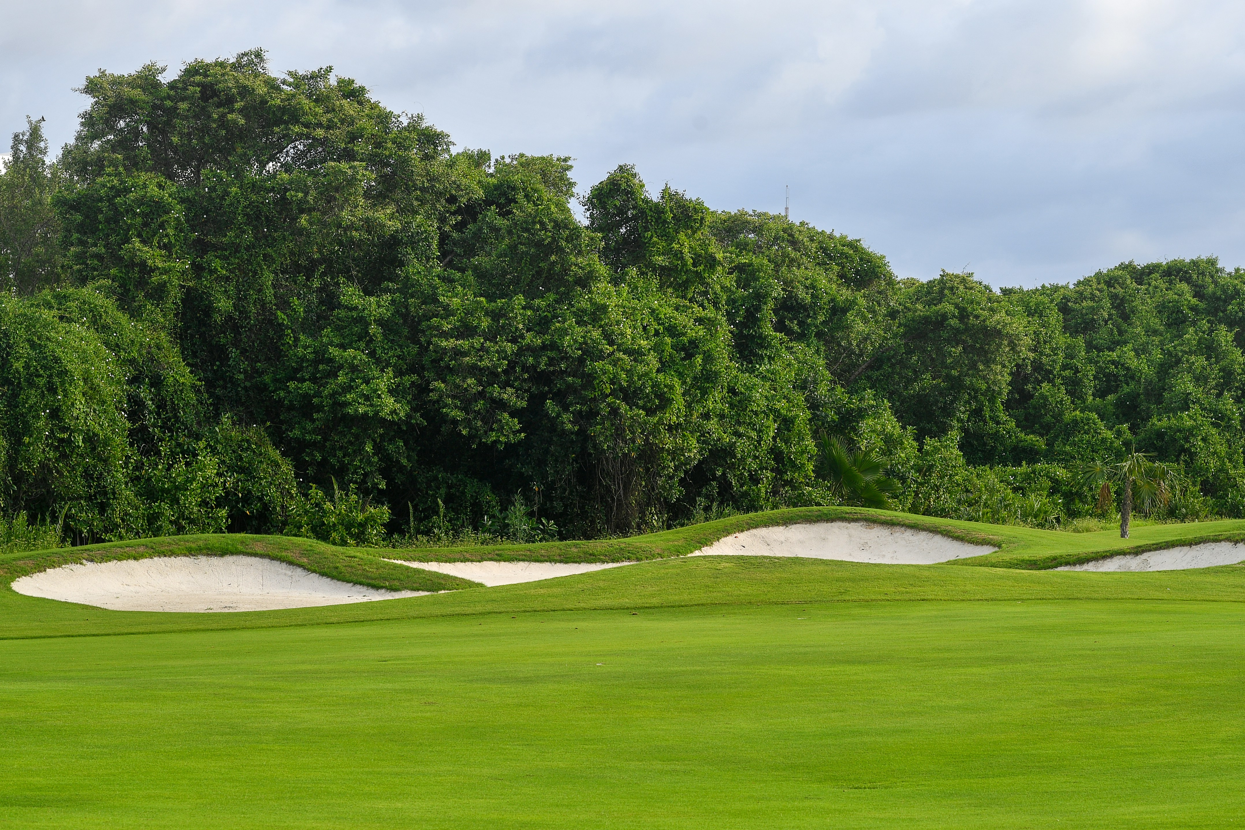 Campo de Golf