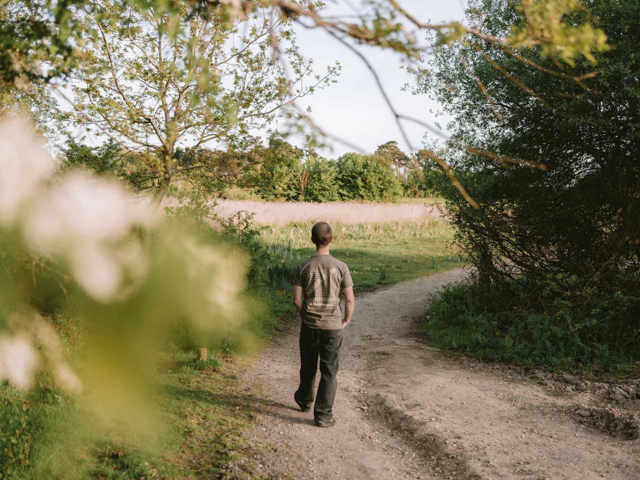 A person walking alone down a path through a green field