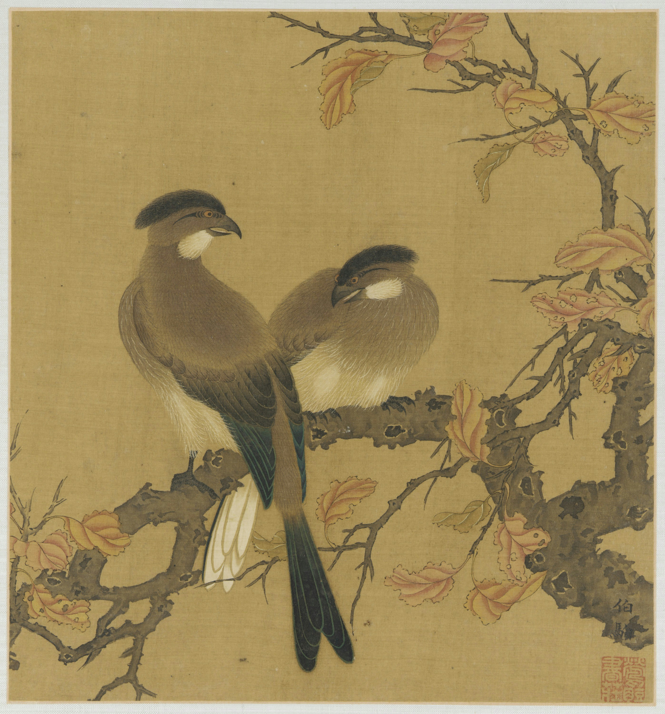 Two birds perched on a branch with autumn leaves. photo – Free Autumn ...