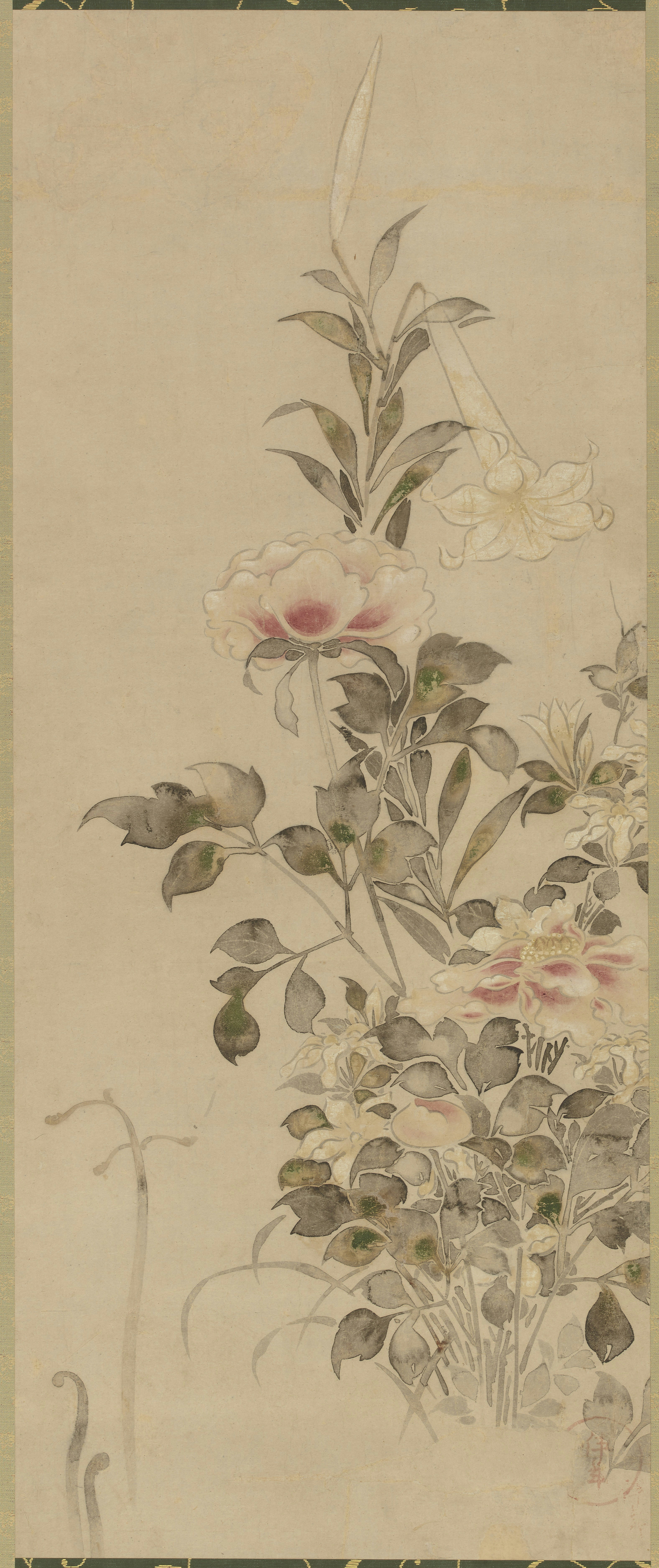 Photo by smithsonian