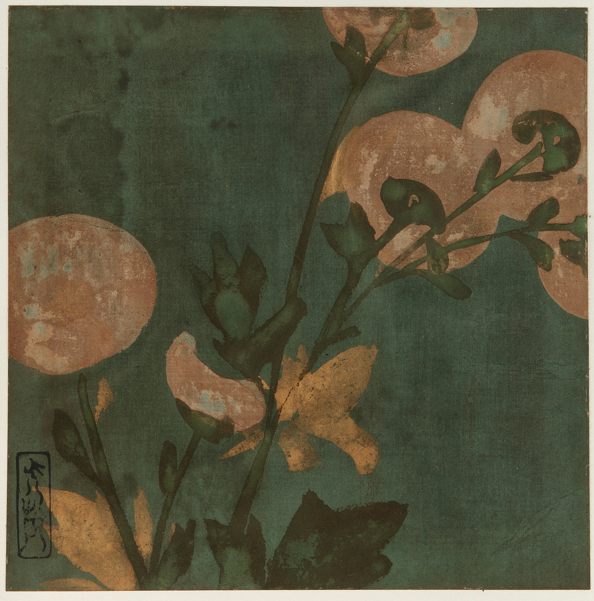 Photo by smithsonian