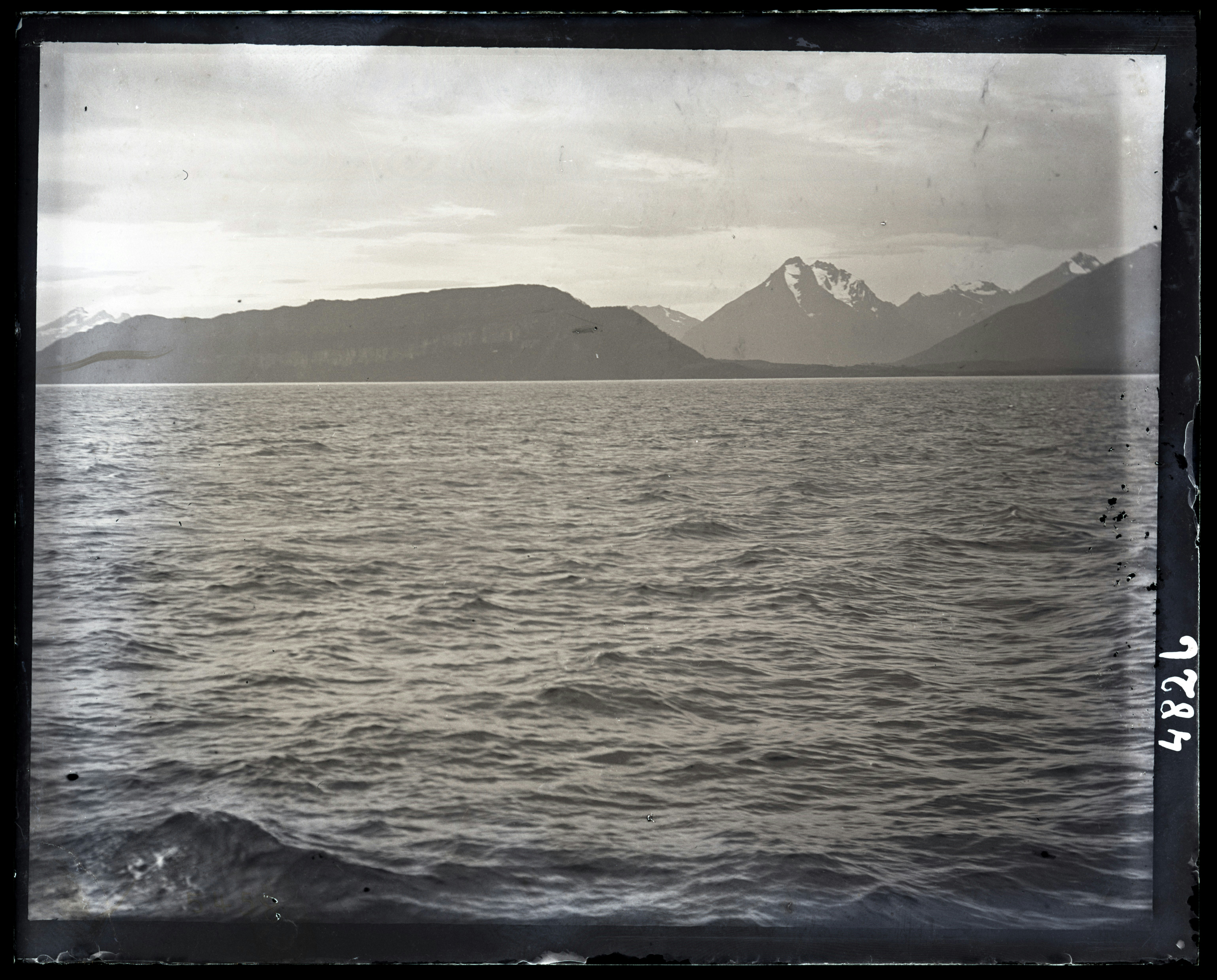 Photo by smithsonian