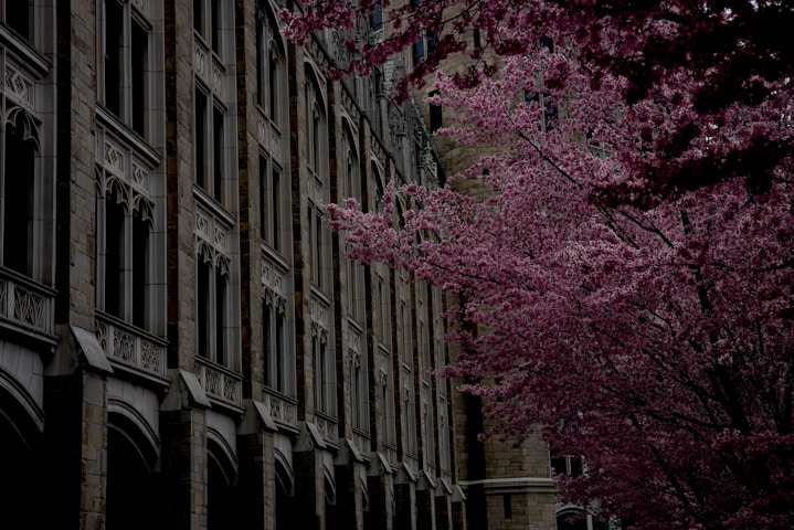 University at Albany