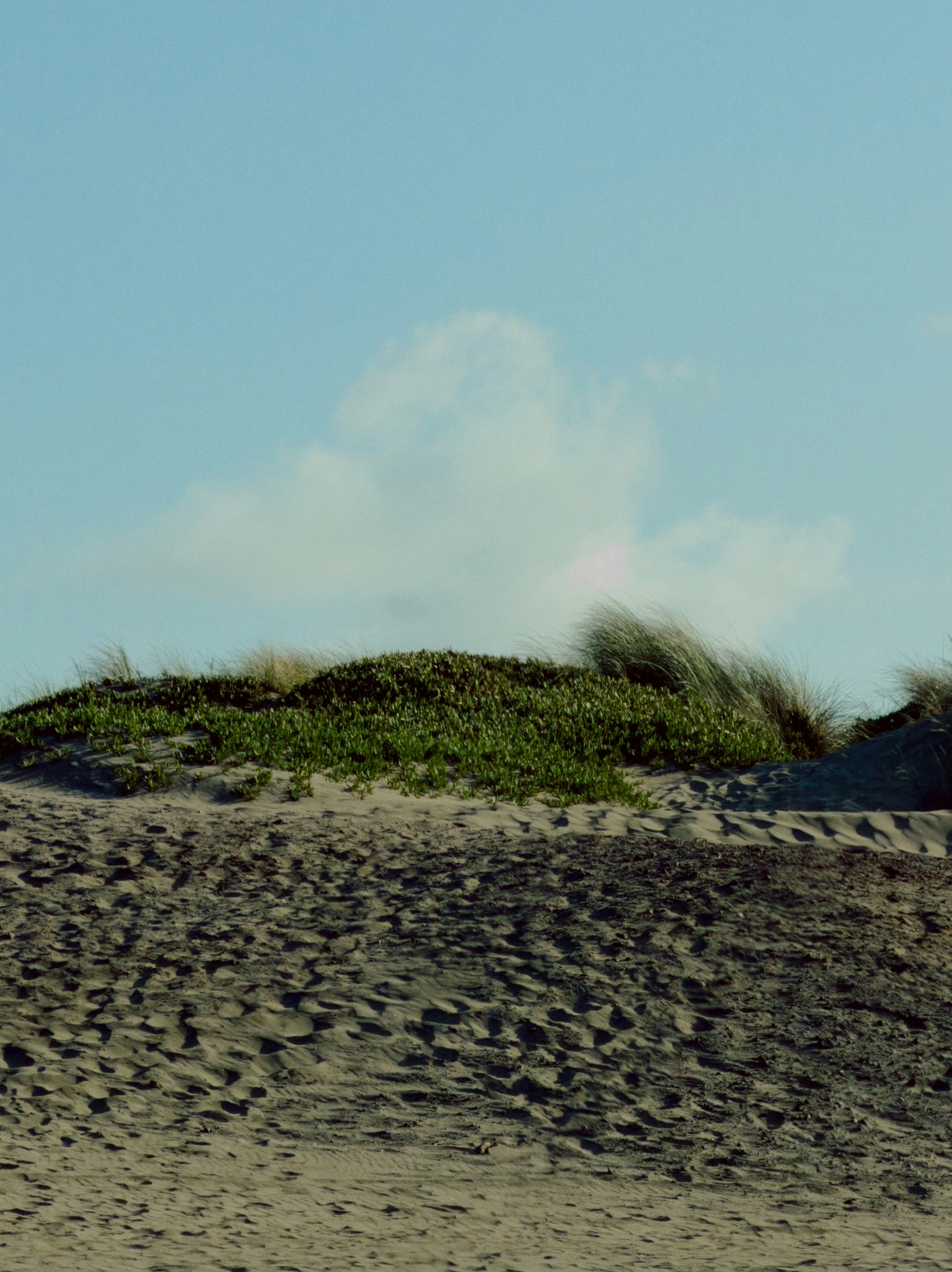 Sandy dunes with green grass under a blue sky.