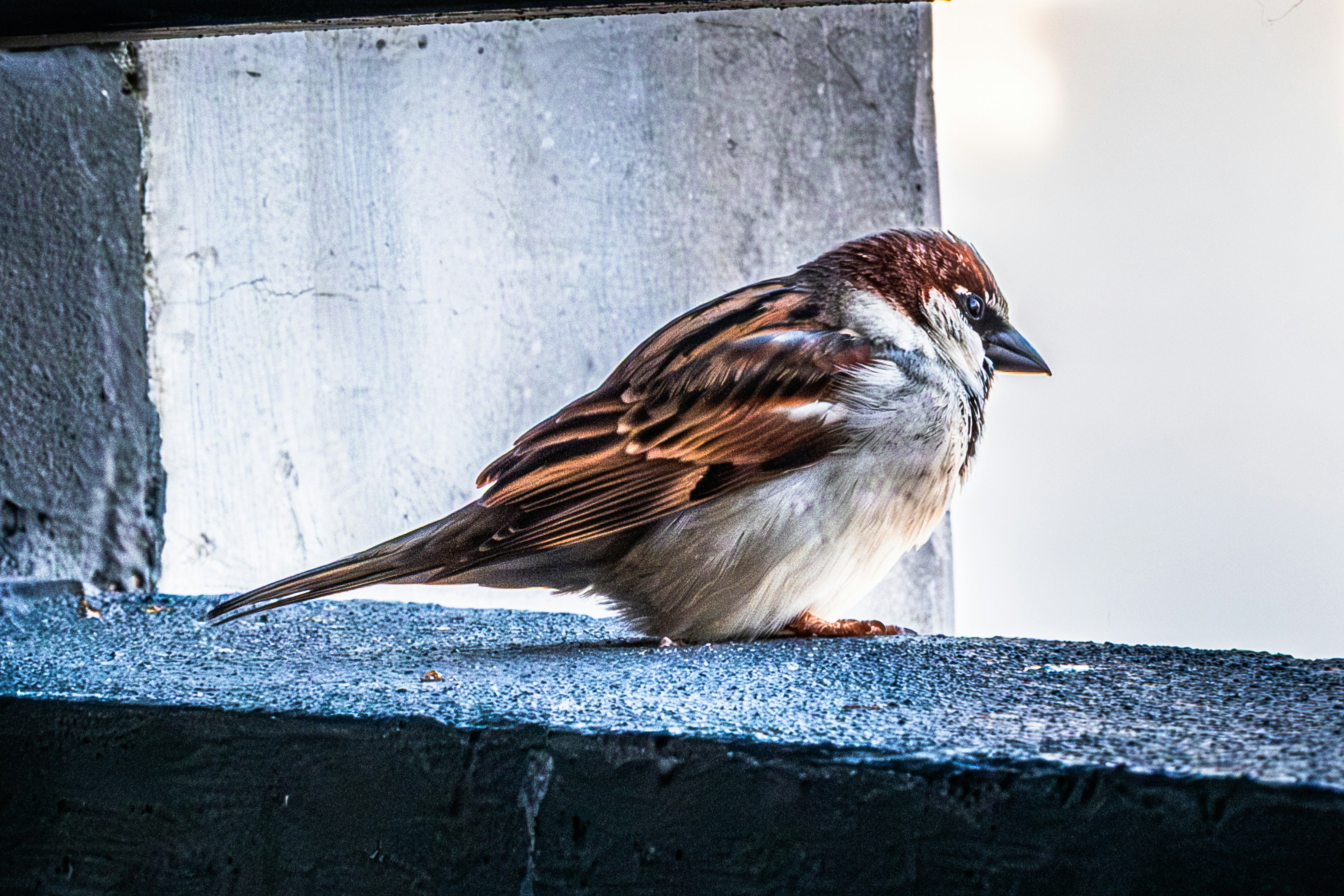 Photo by winniepix