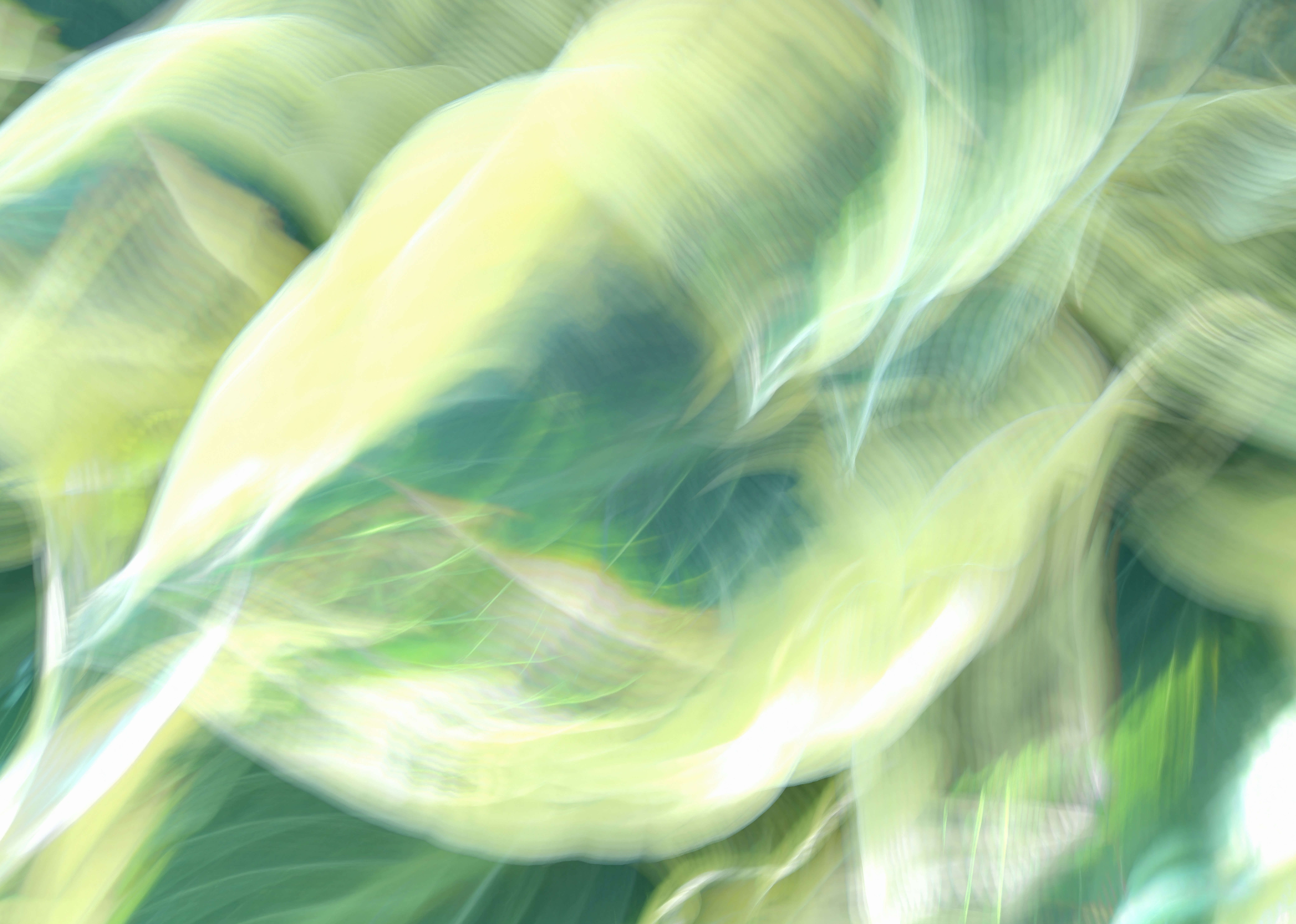 Hojas abstractas difuminadas verdes y amarillas