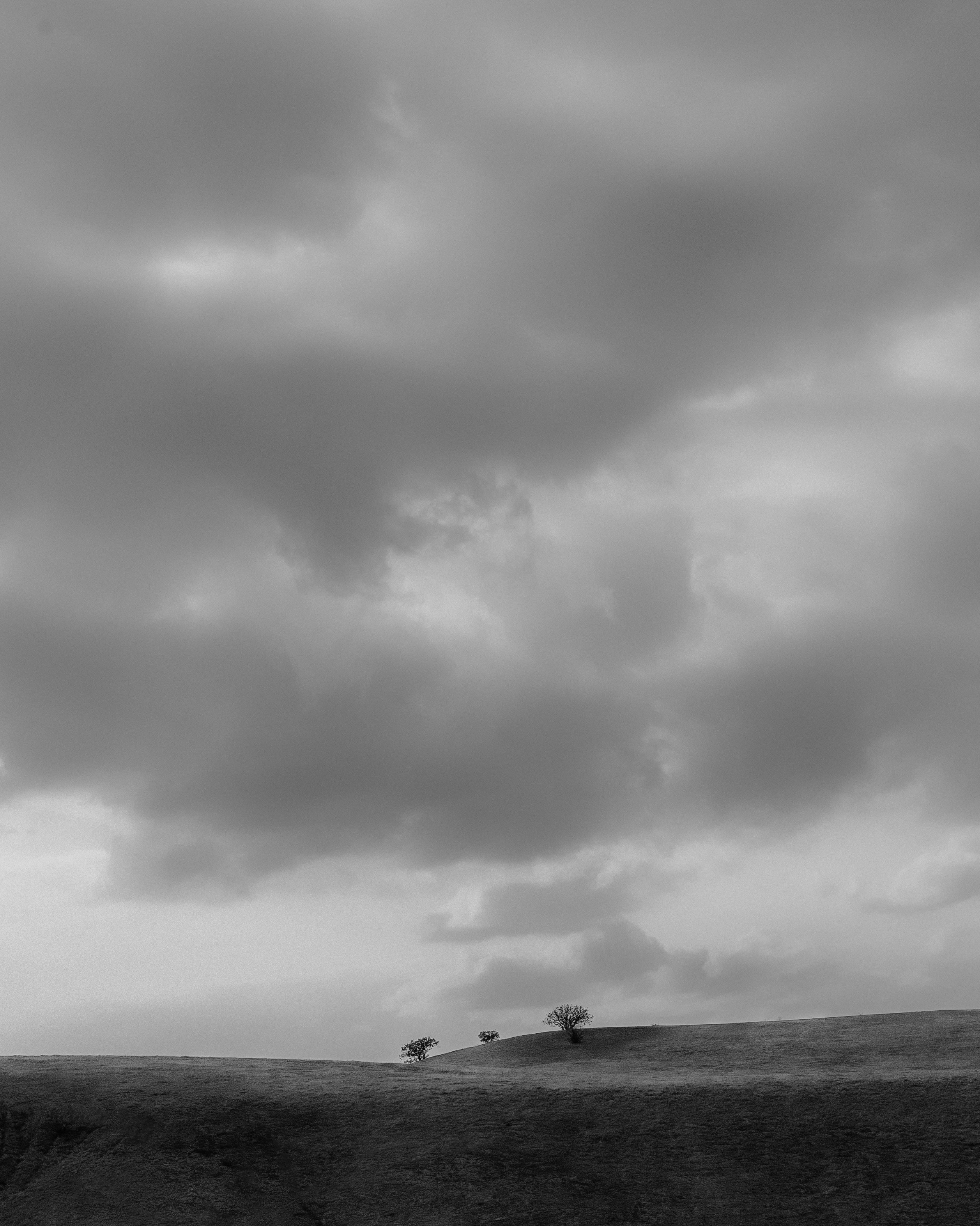 Photo by zacoovic
