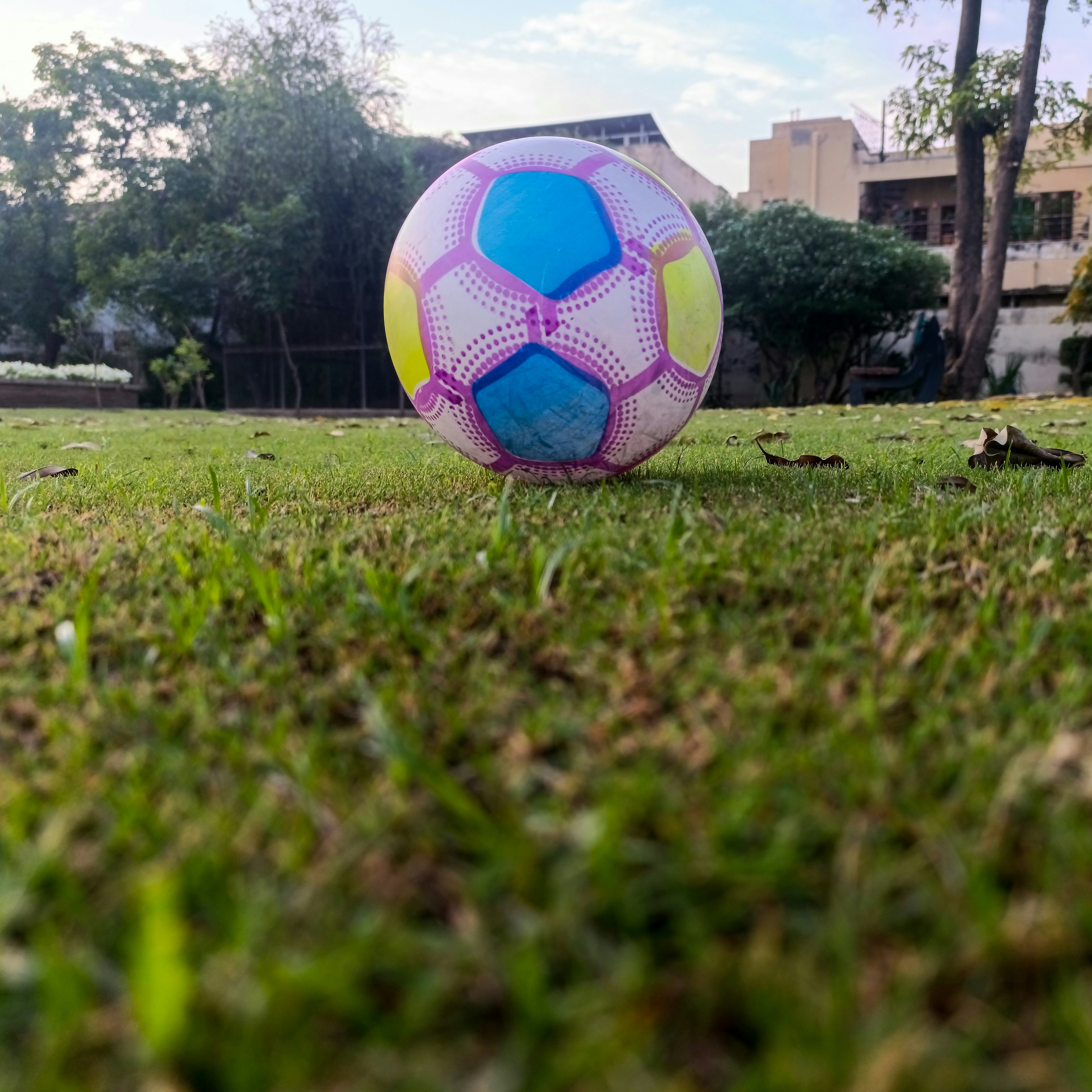 Colourful white, purple and blue football on a sunny patch of grass