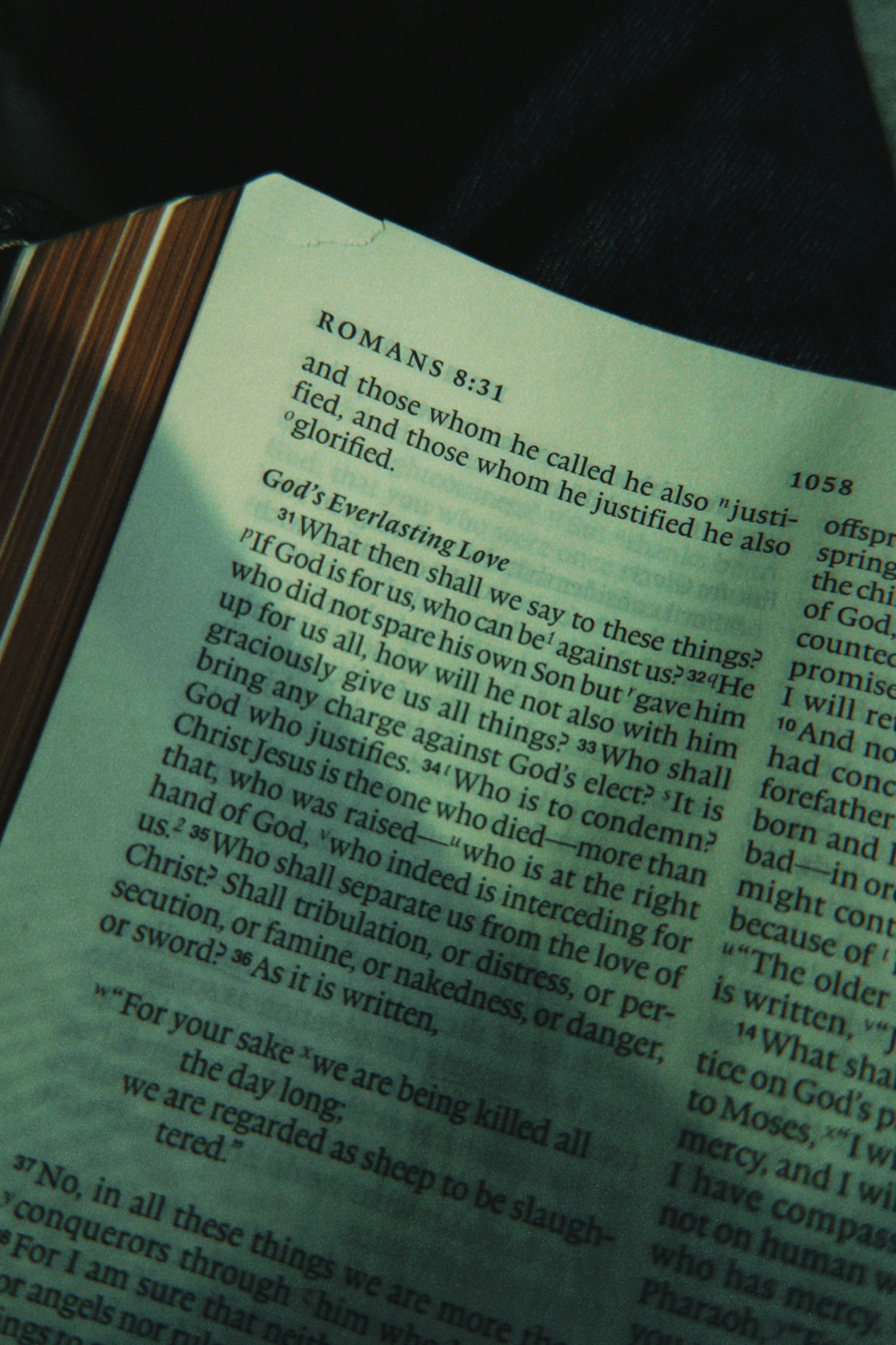 Close-up of an open bible with text visible.