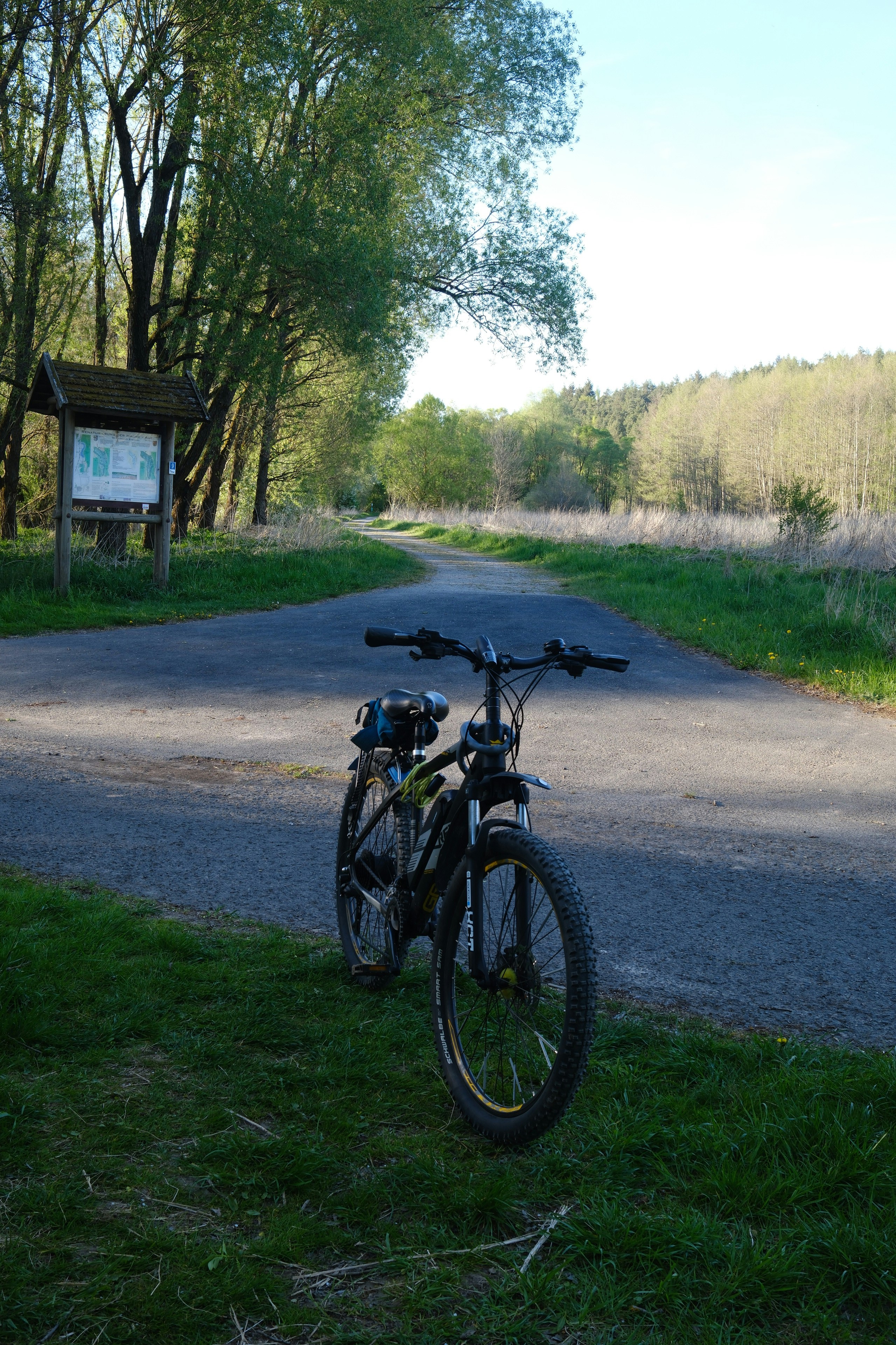 A bicycle rests on a path in a wooded area.