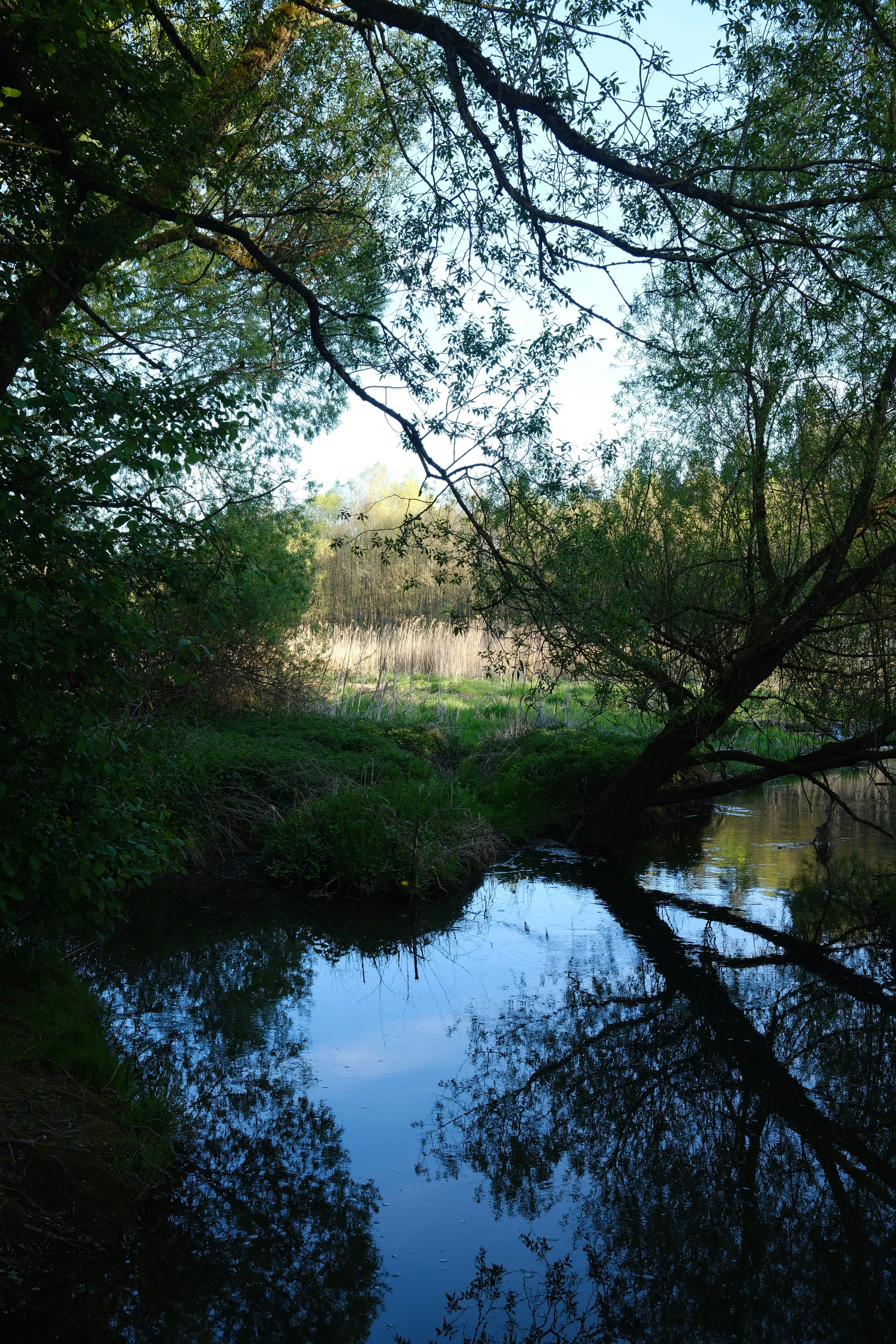 Photo by zaliha