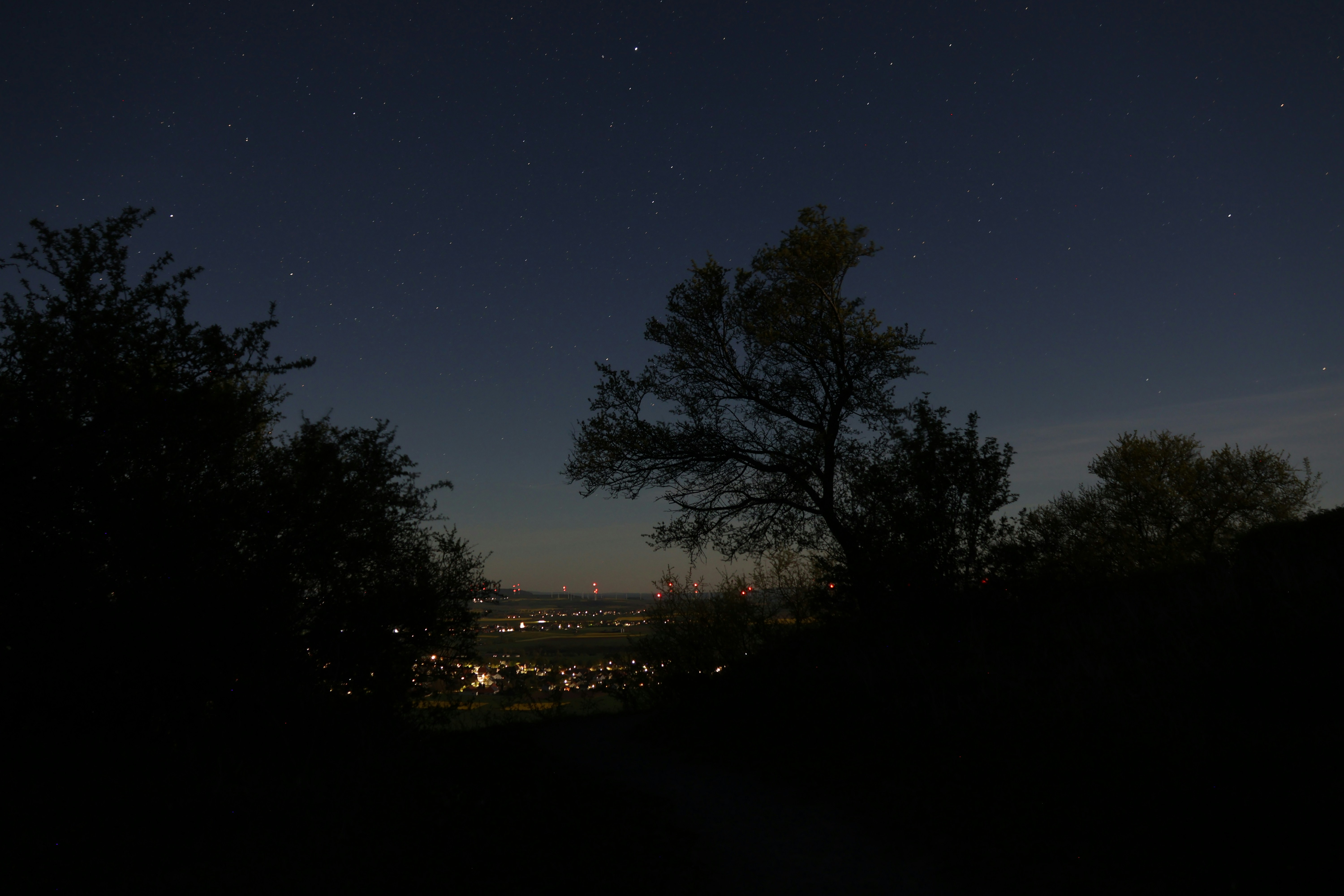 Photo by viktorfriesen